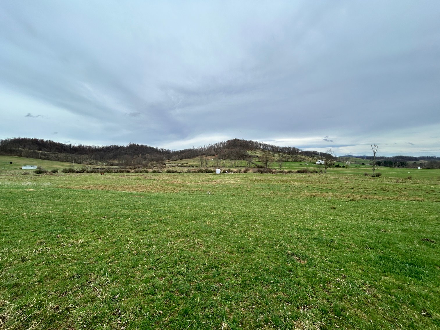 Image for SOLD $210,100 - 90 Acre Farm in Barbour County