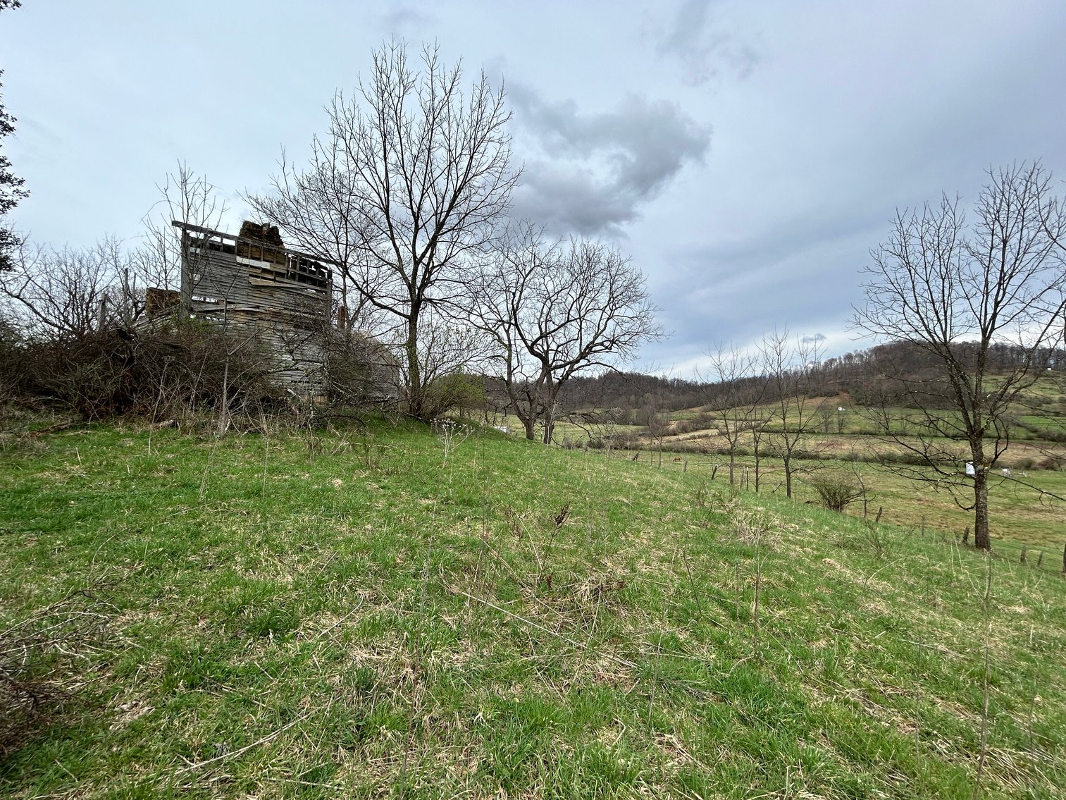 Image for SOLD $210,100 - 90 Acre Farm in Barbour County