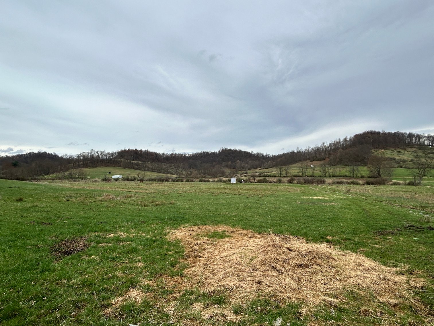 Image for SOLD $210,100 - 90 Acre Farm in Barbour County