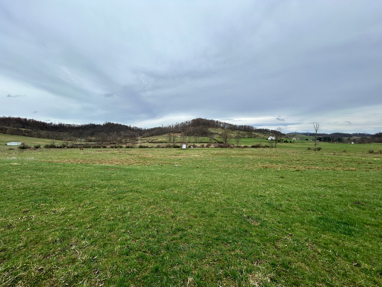 Image for SOLD $210,100 - 90 Acre Farm in Barbour County