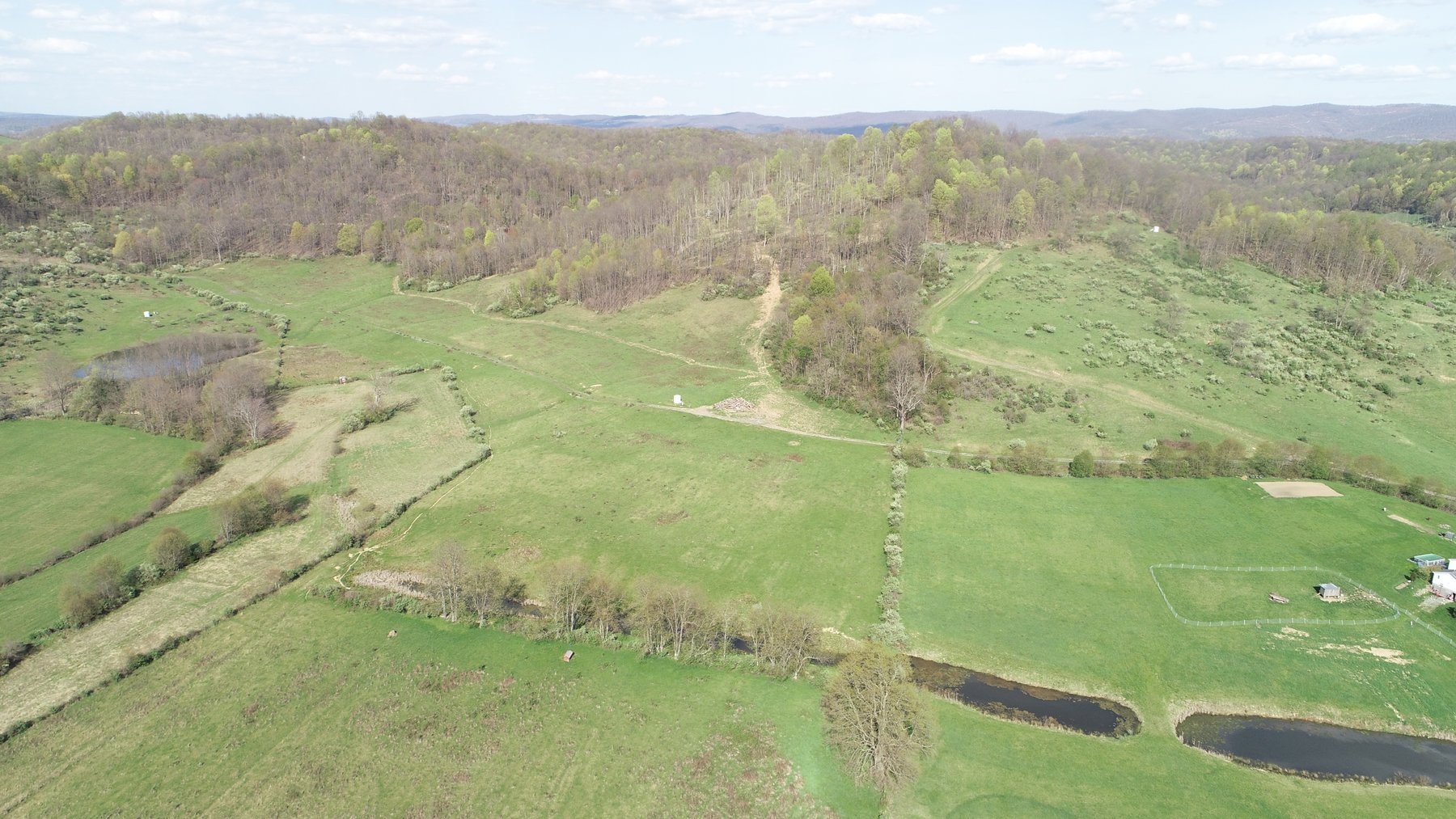 Image for SOLD $210,100 - 90 Acre Farm in Barbour County