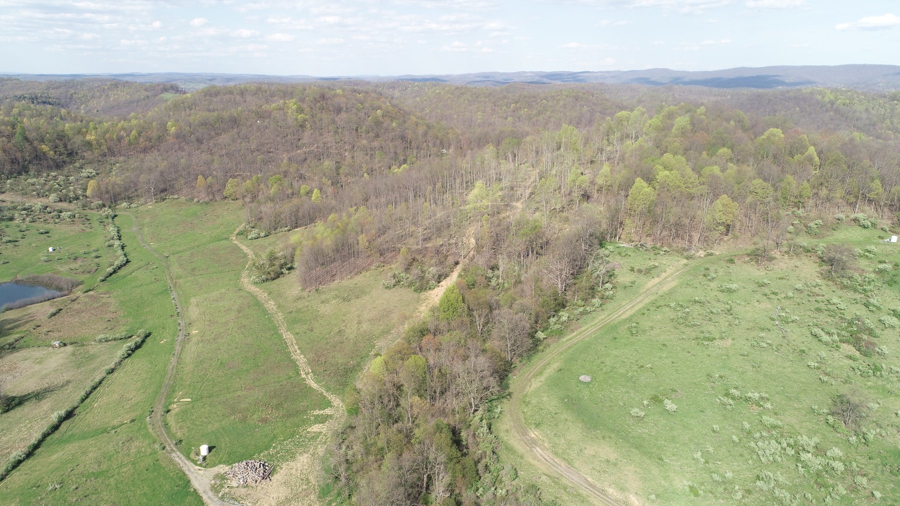 Image for SOLD $210,100 - 90 Acre Farm in Barbour County