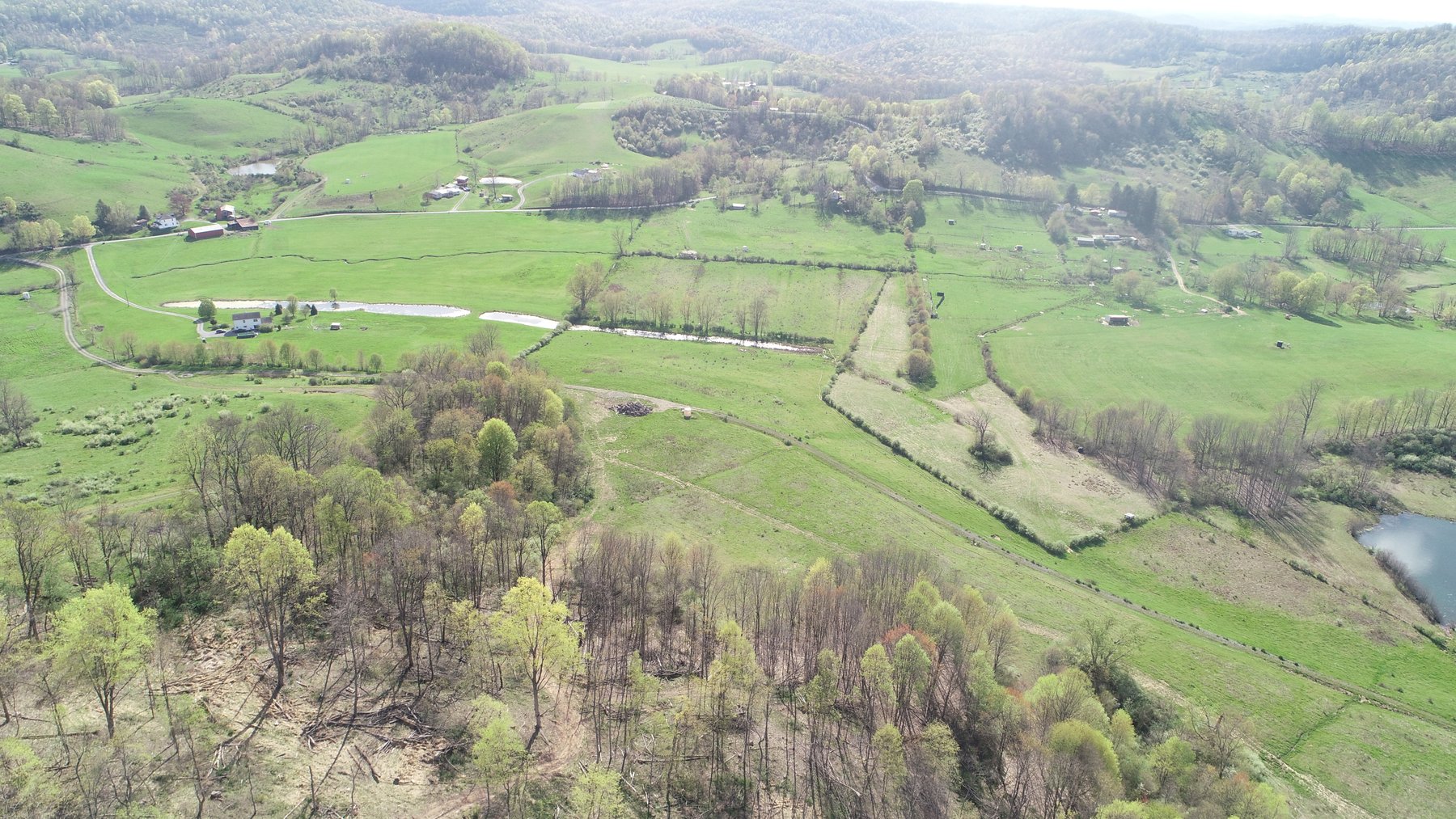 Image for SOLD $210,100 - 90 Acre Farm in Barbour County