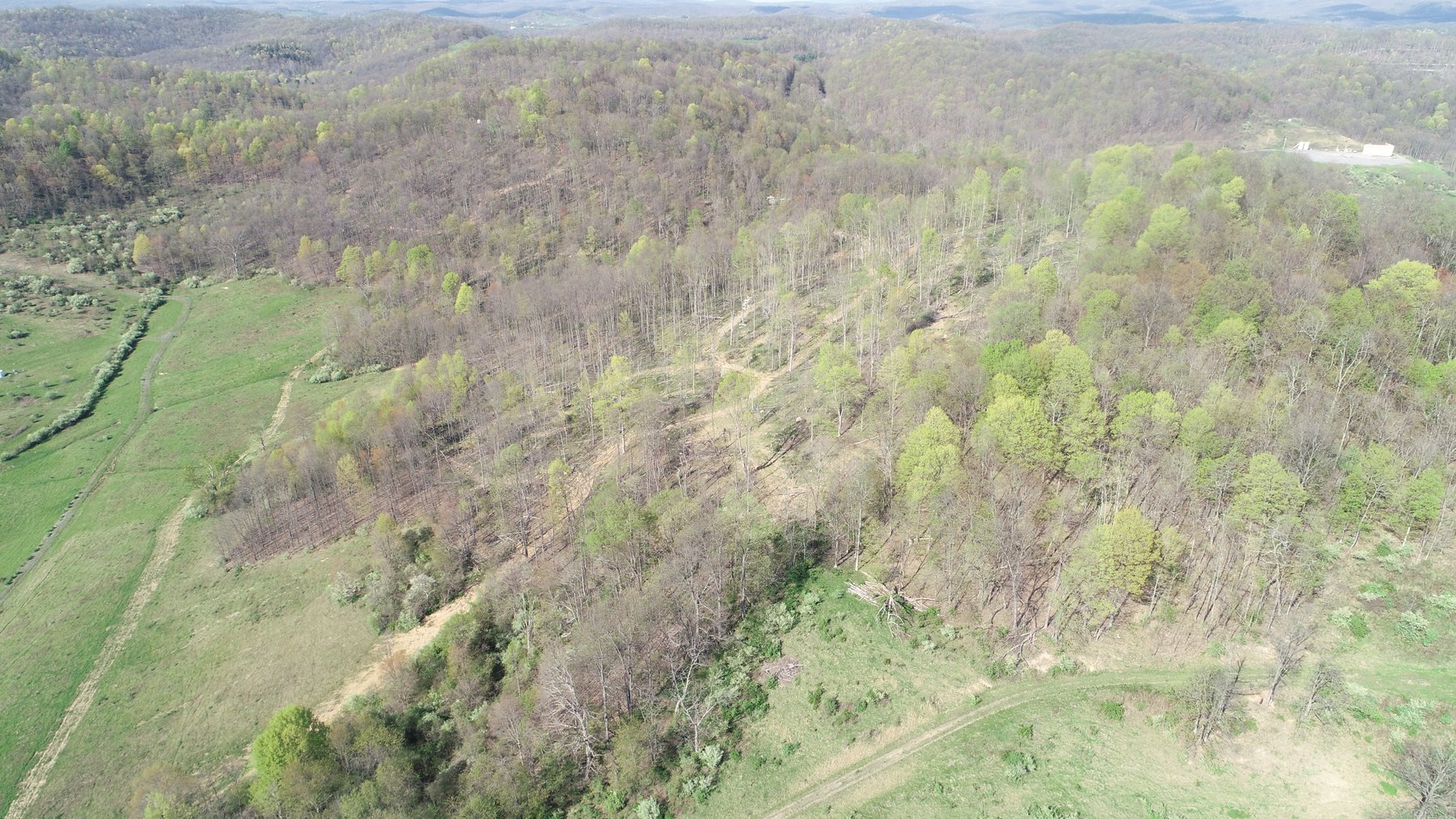 Image for SOLD $210,100 - 90 Acre Farm in Barbour County