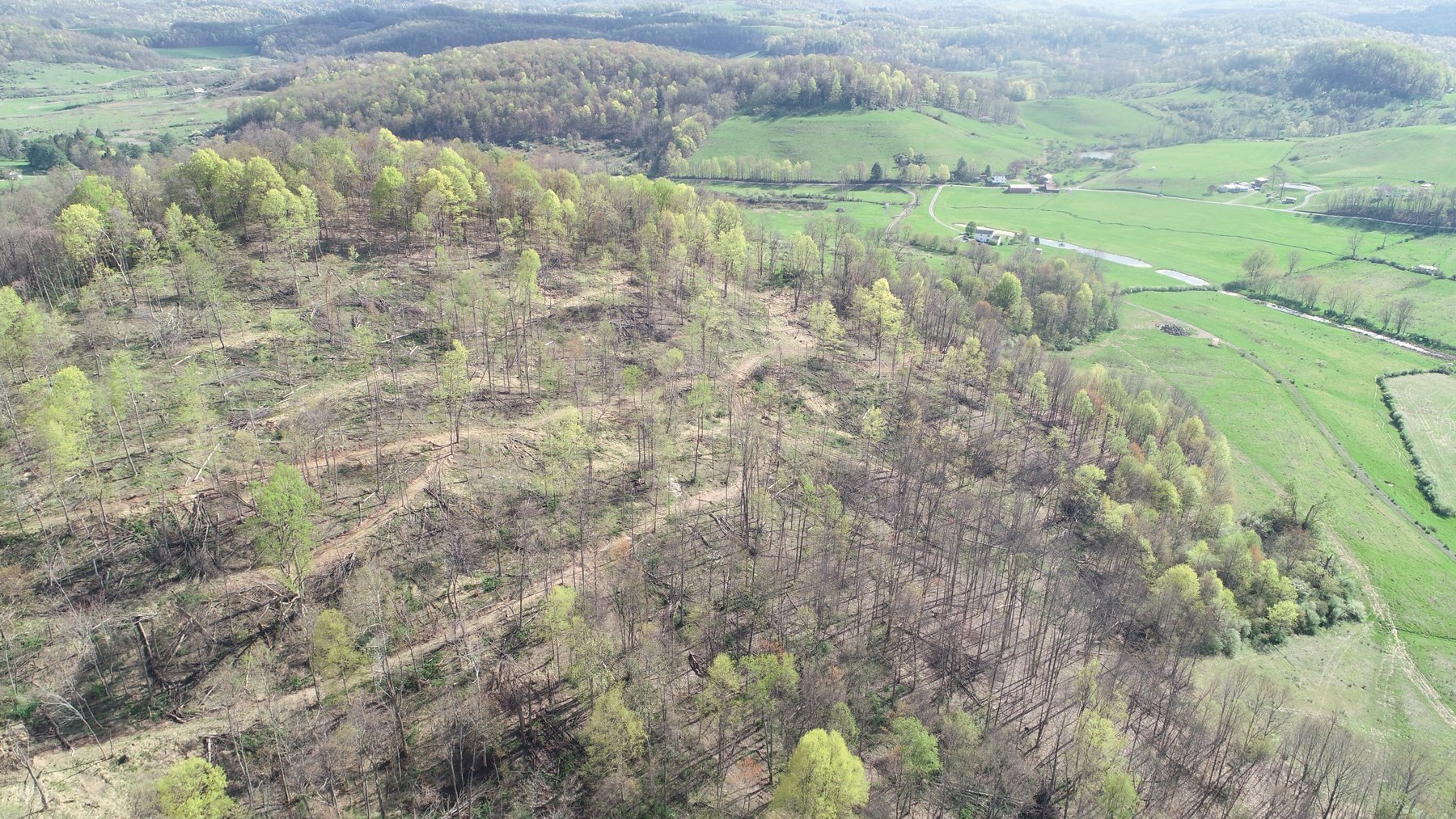 Image for SOLD $210,100 - 90 Acre Farm in Barbour County