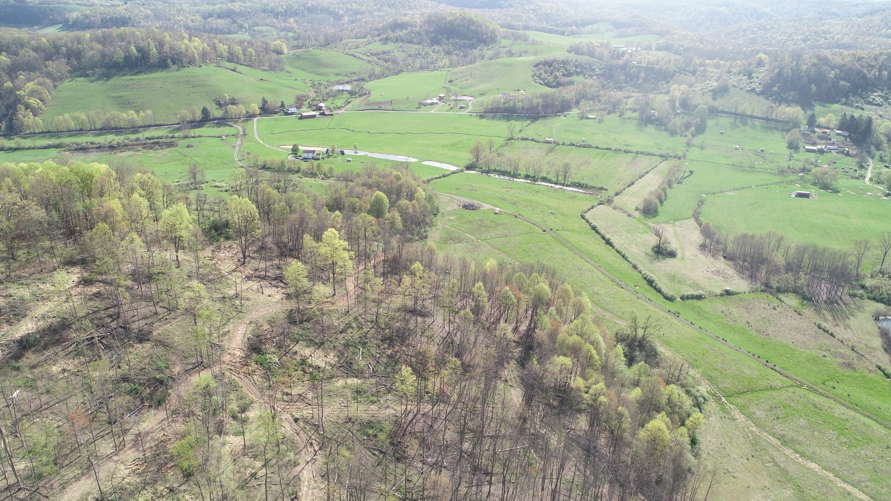 Image for SOLD $210,100 - 90 Acre Farm in Barbour County