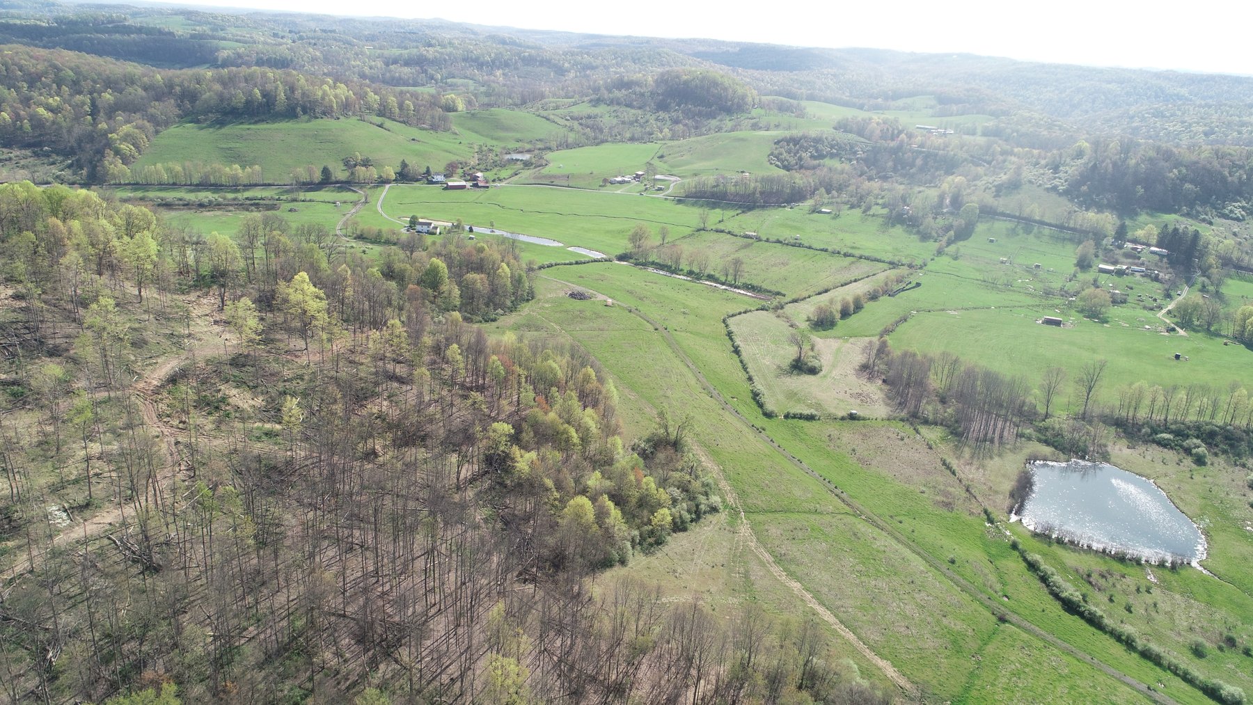 Image for SOLD $210,100 - 90 Acre Farm in Barbour County