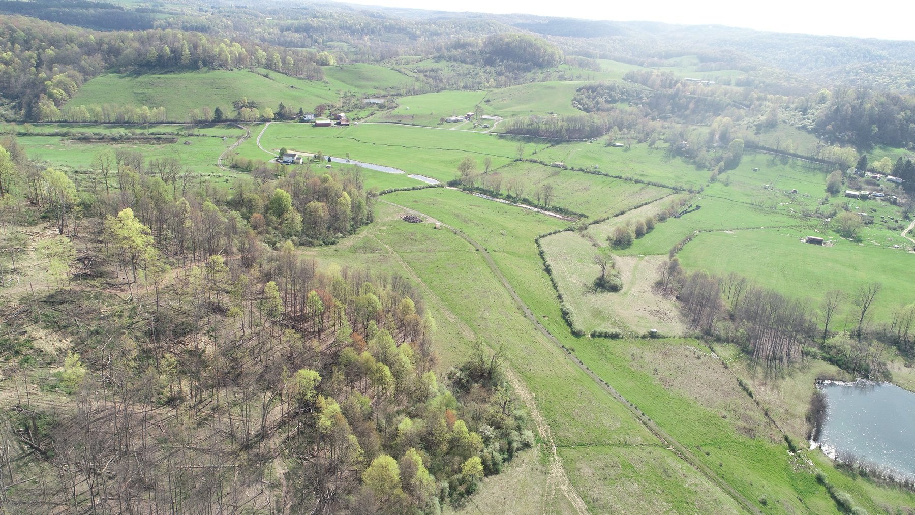 Image for SOLD $210,100 - 90 Acre Farm in Barbour County