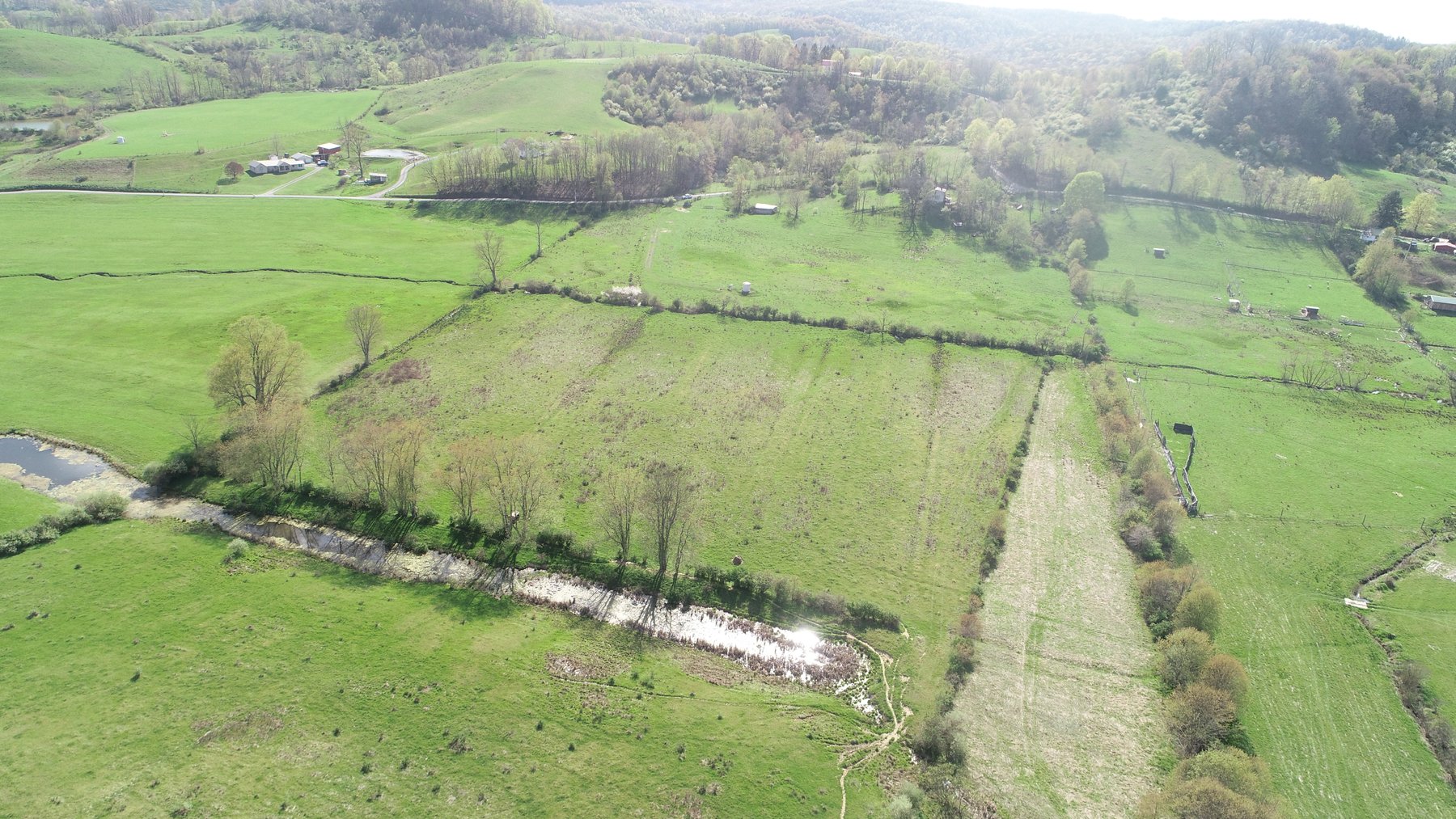 Image for SOLD $210,100 - 90 Acre Farm in Barbour County