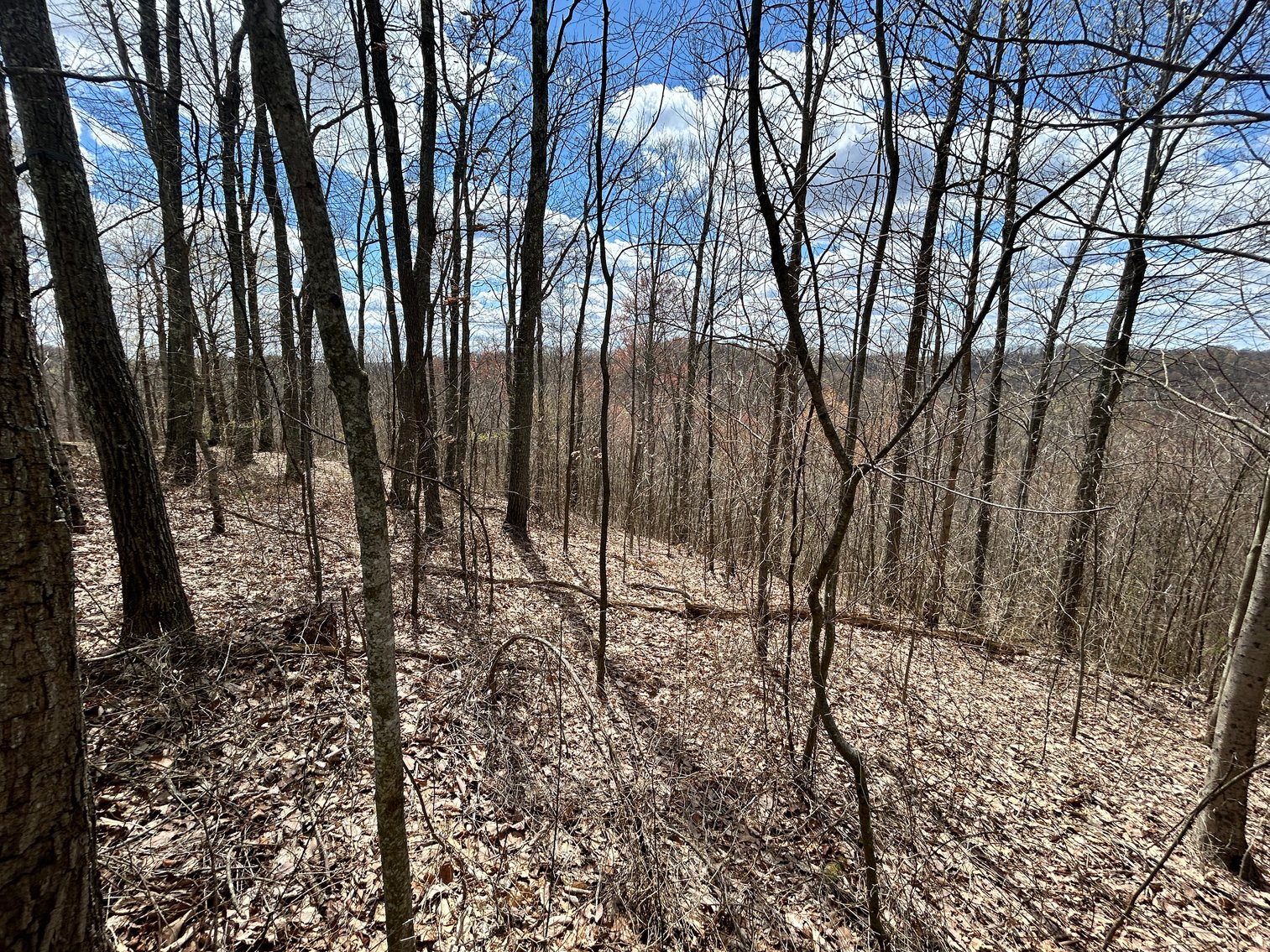 Image for SOLD $154,000 - Cabin on 32 Acres in Marion County