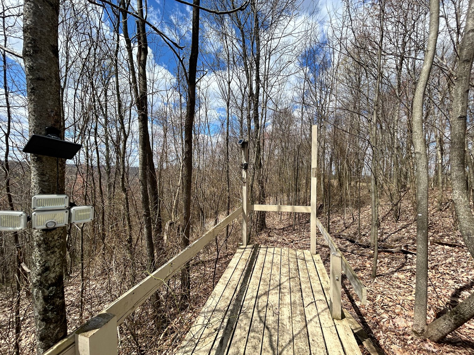 Image for SOLD $154,000 - Cabin on 32 Acres in Marion County