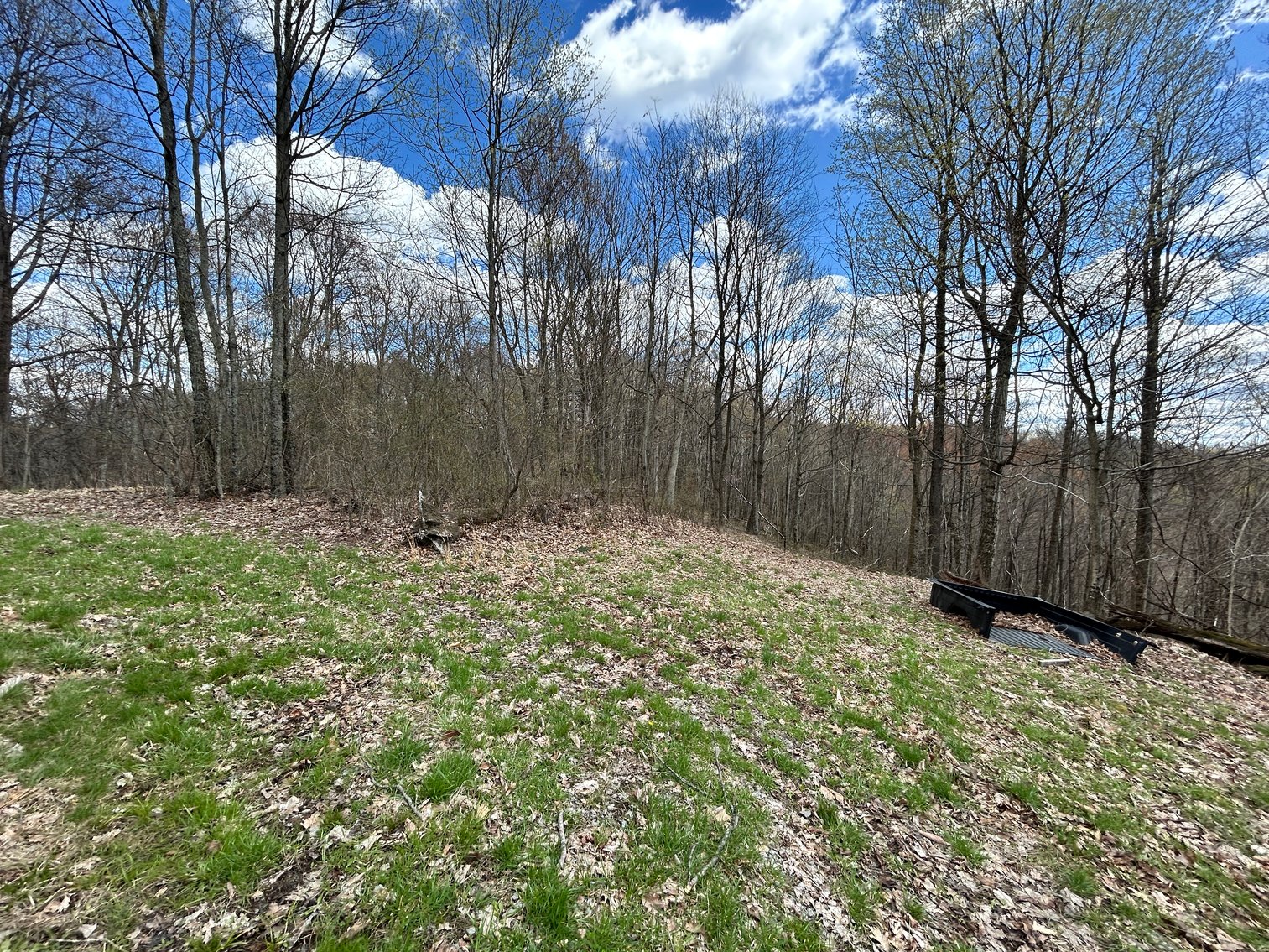 Image for SOLD $154,000 - Cabin on 32 Acres in Marion County