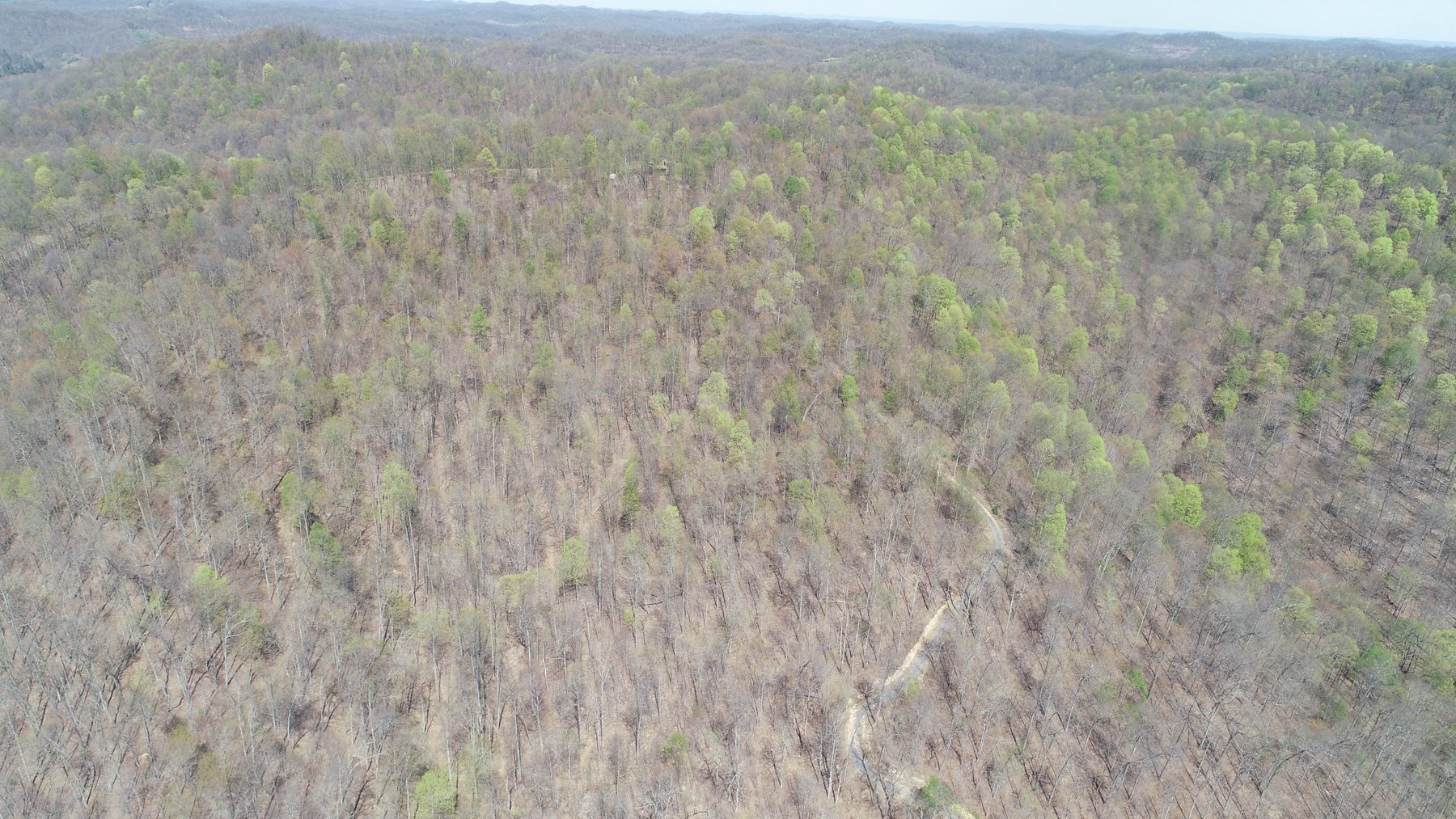 Image for SOLD $154,000 - Cabin on 32 Acres in Marion County