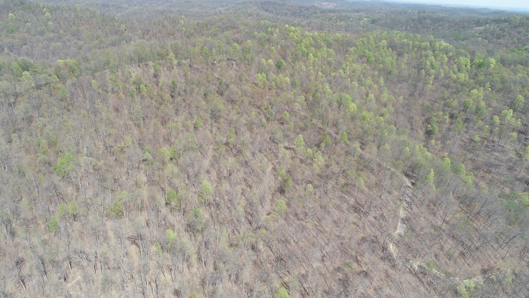 Image for SOLD $154,000 - Cabin on 32 Acres in Marion County