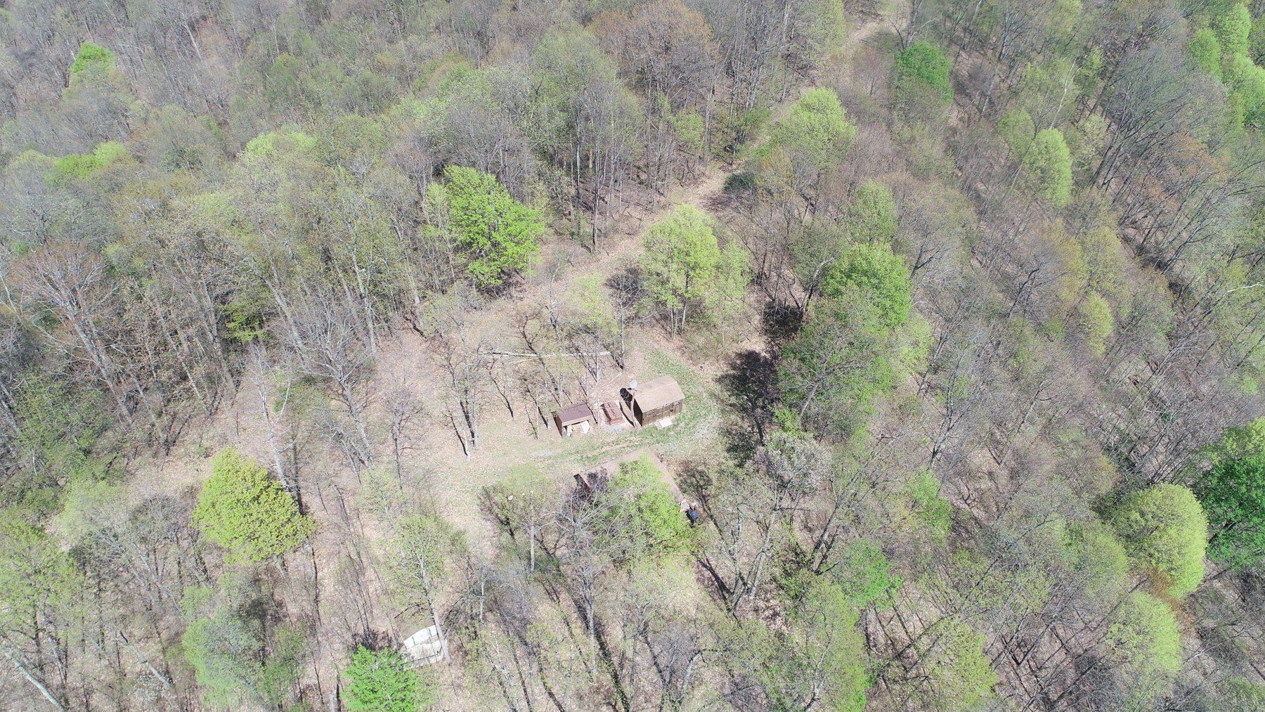 Image for SOLD $154,000 - Cabin on 32 Acres in Marion County