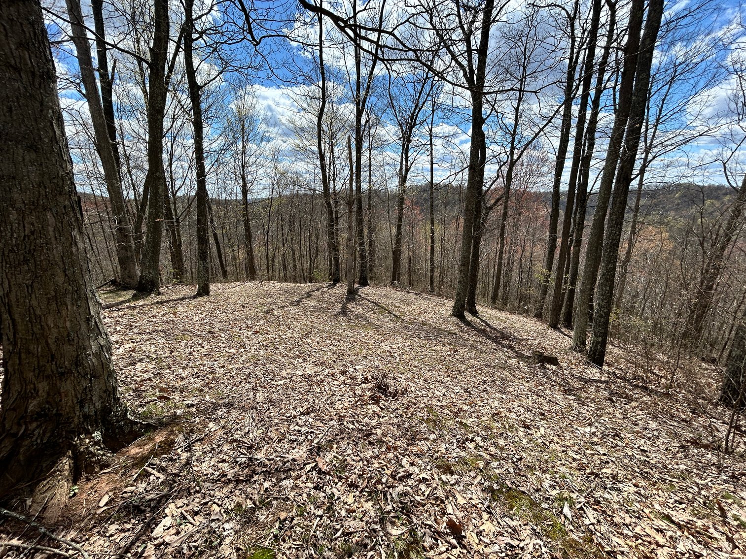 Image for SOLD $154,000 - Cabin on 32 Acres in Marion County