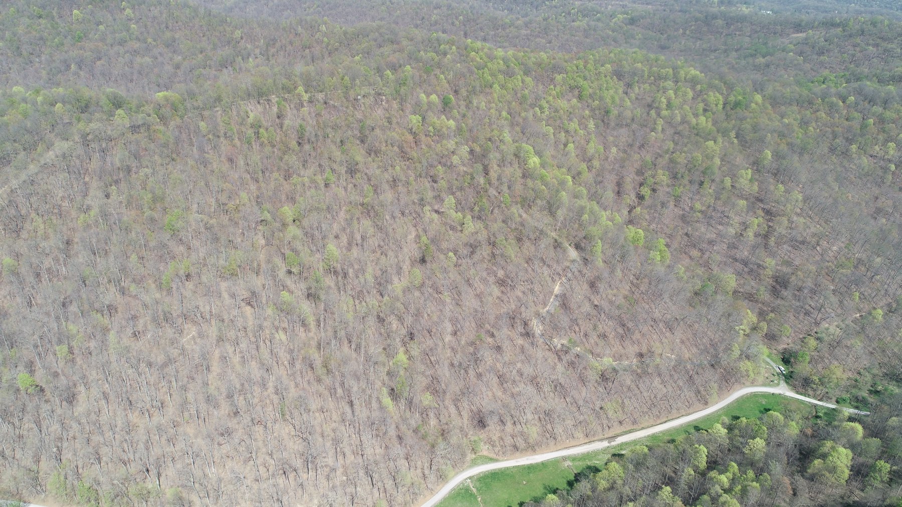 Image for SOLD $154,000 - Cabin on 32 Acres in Marion County