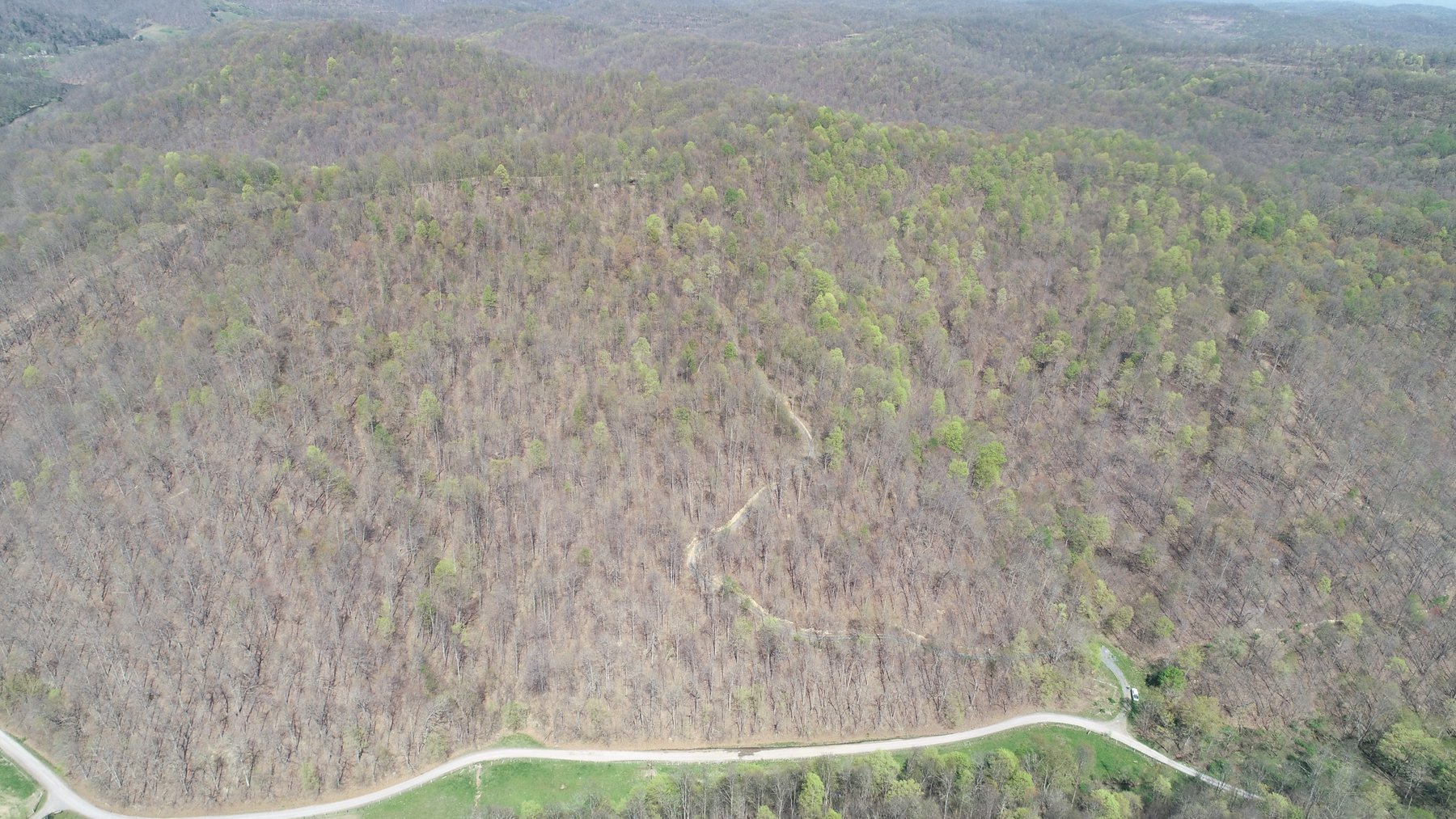 Image for SOLD $154,000 - Cabin on 32 Acres in Marion County