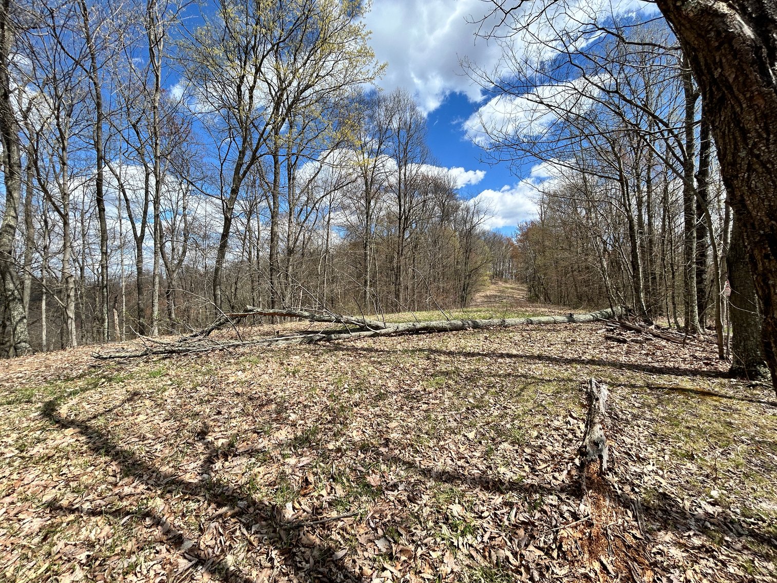 Image for SOLD $154,000 - Cabin on 32 Acres in Marion County