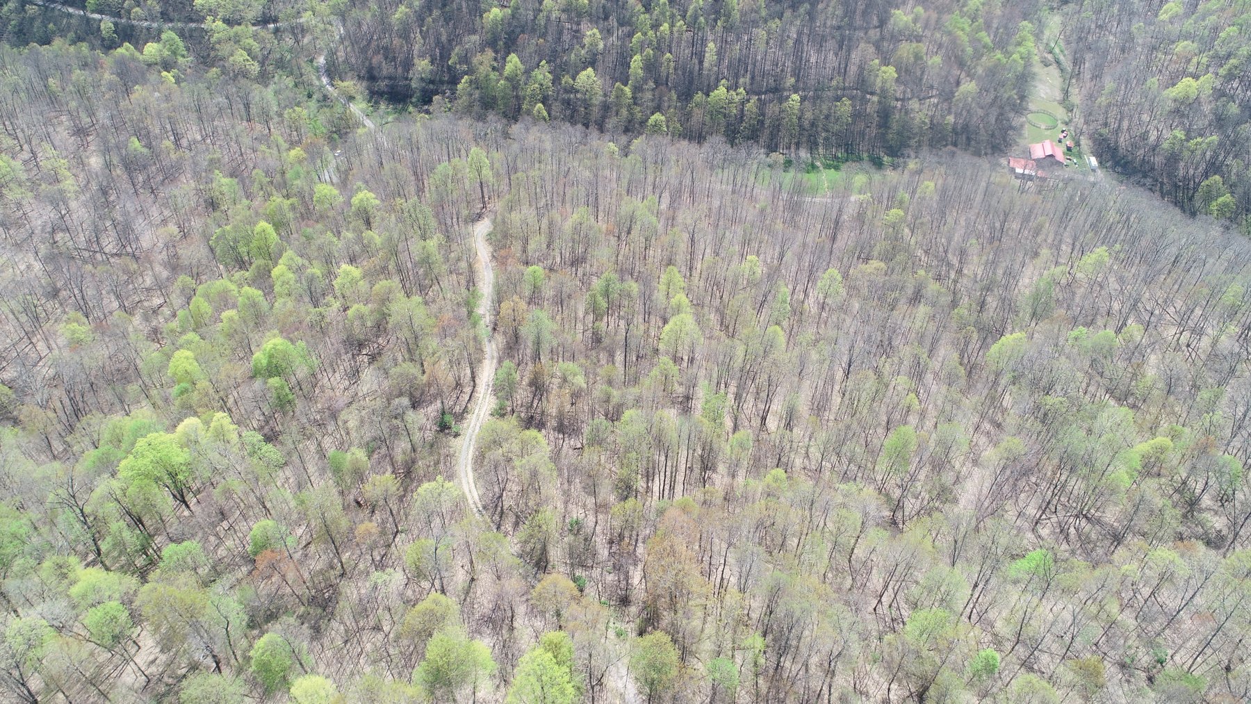 Image for SOLD $154,000 - Cabin on 32 Acres in Marion County