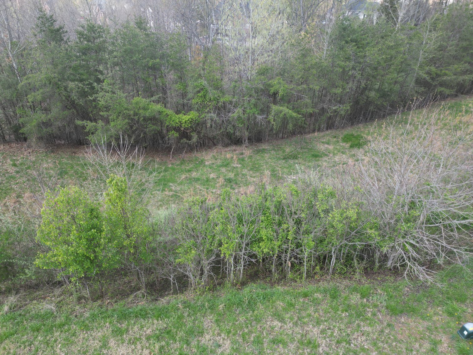 Image for SOLD $14,575 - Nearly One Acre Lot in Woodridge Estates Selling to the Highest Bidder