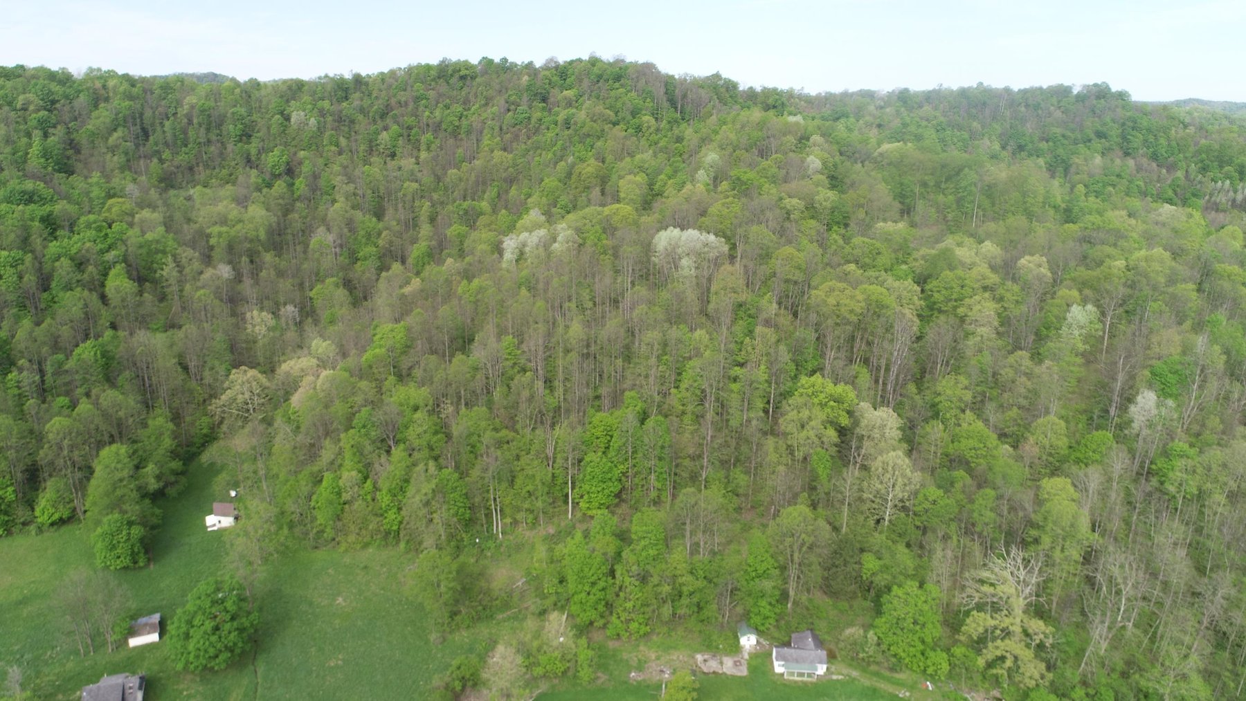 Image for SOLD - 8 Marion County Properties Selling to the Highest Bidders