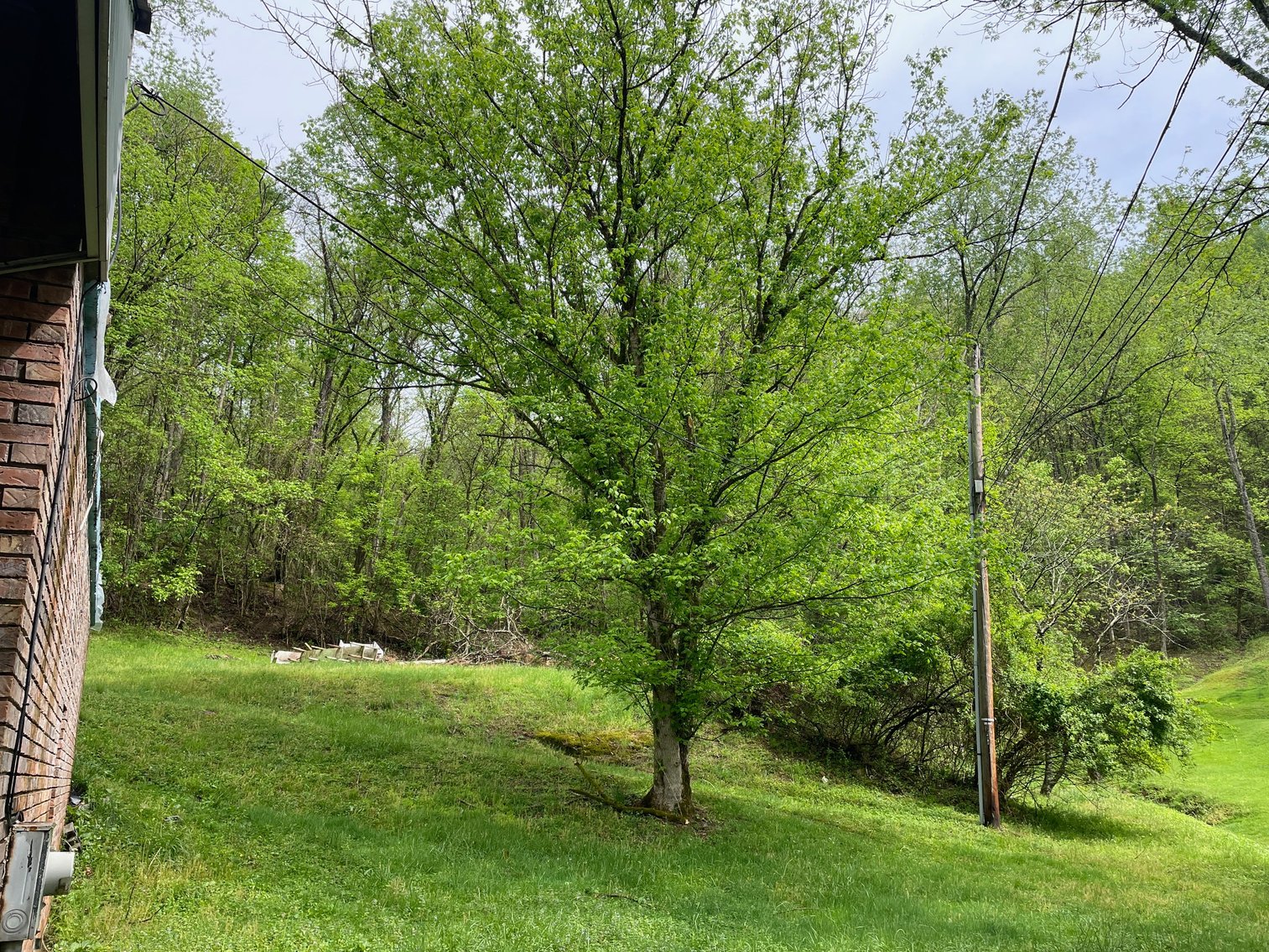 Image for SOLD $154,000 - 4 Bedroom on 40 Acres in Charleston