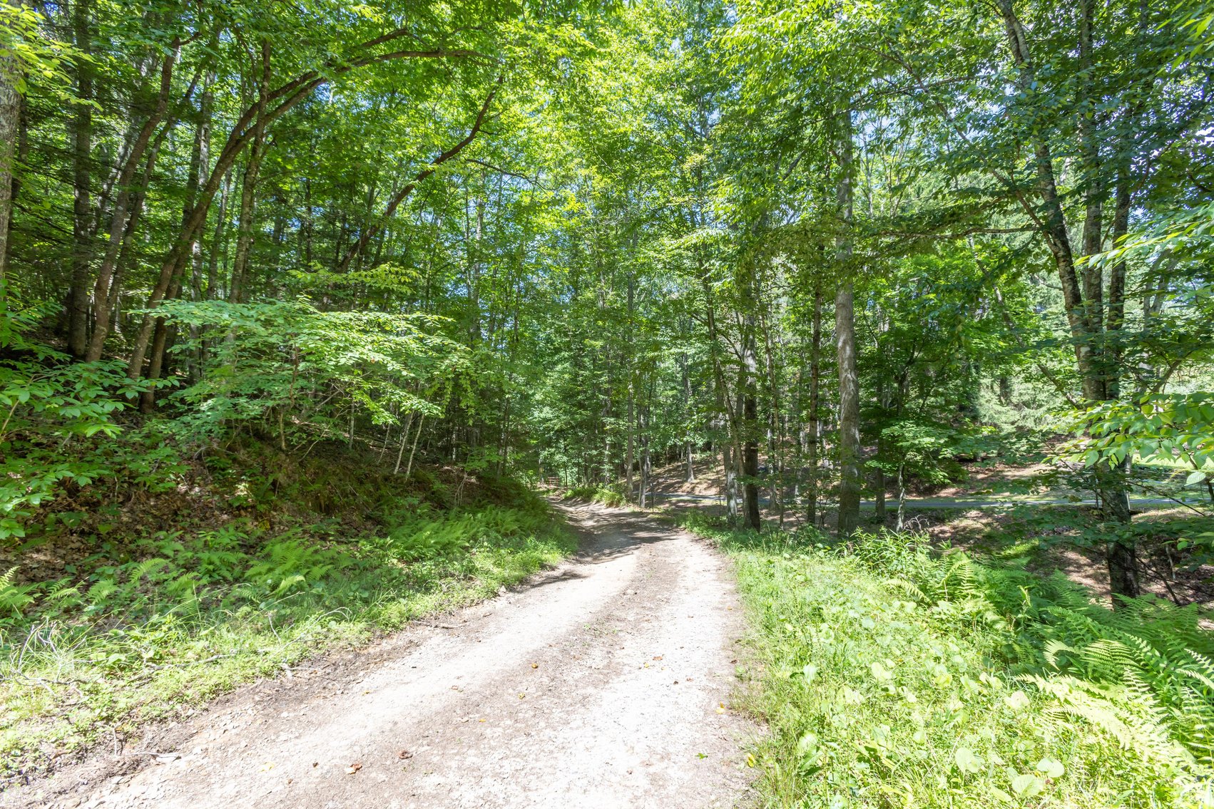 Image for SOLD $45,650 - 44 Wooded Acres in Wyoming County