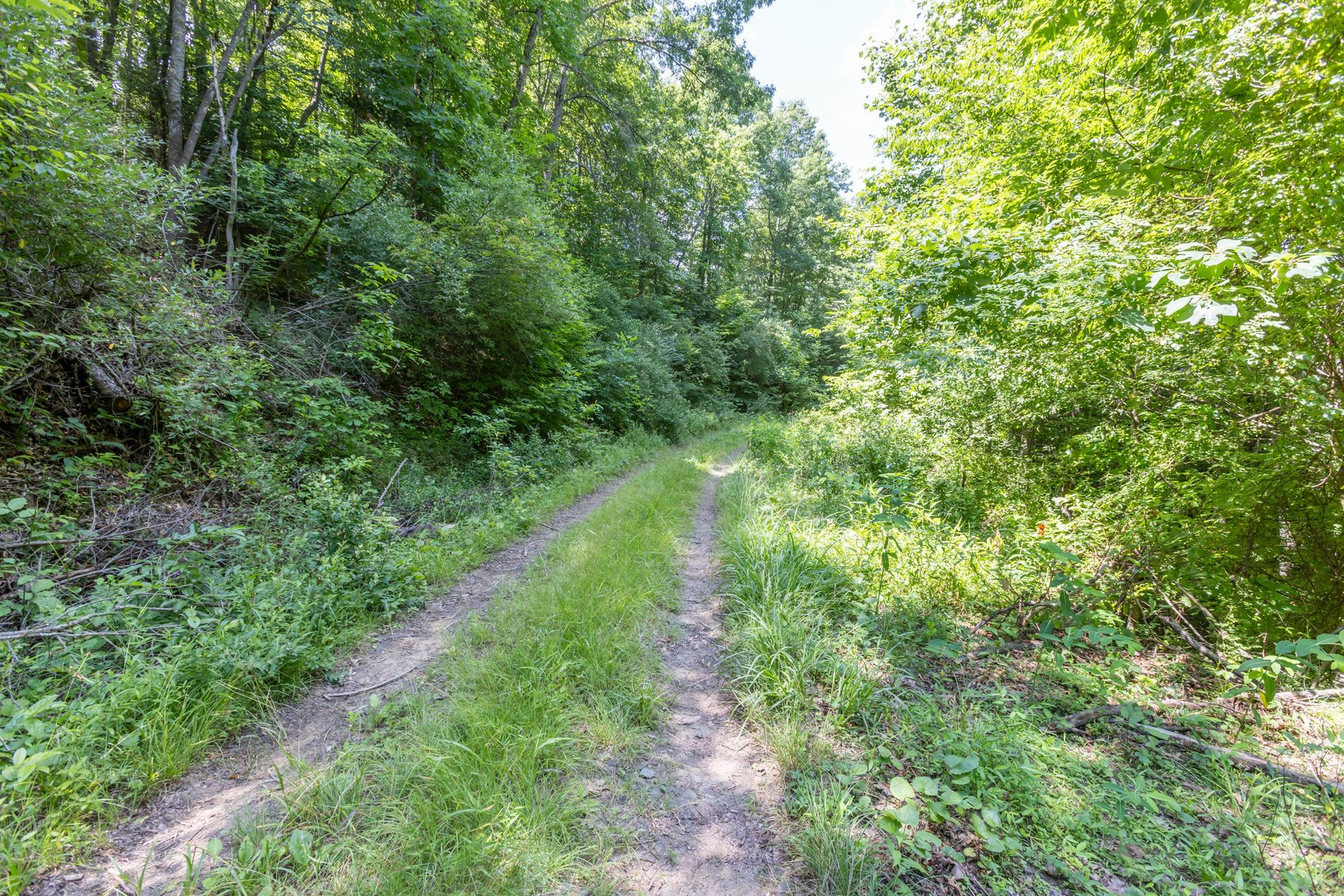 Image for SOLD $45,650 - 44 Wooded Acres in Wyoming County