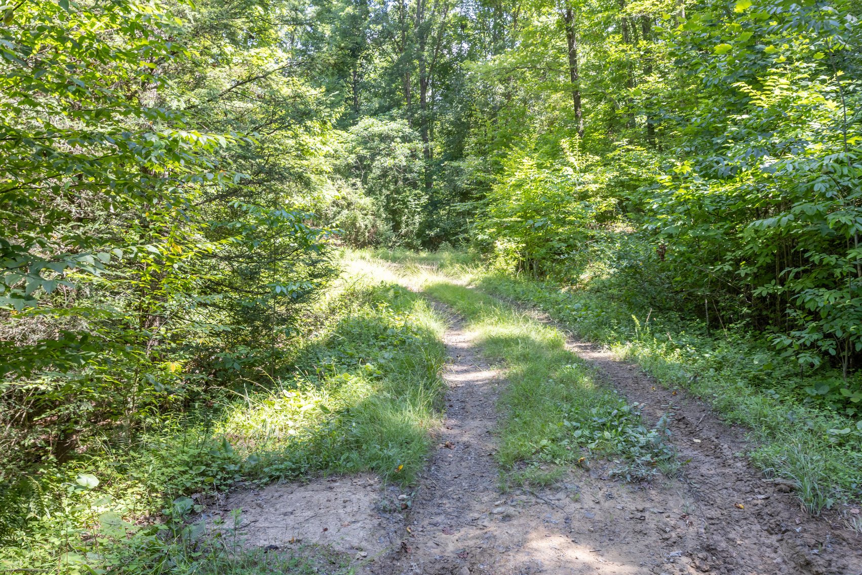 Image for SOLD $45,650 - 44 Wooded Acres in Wyoming County