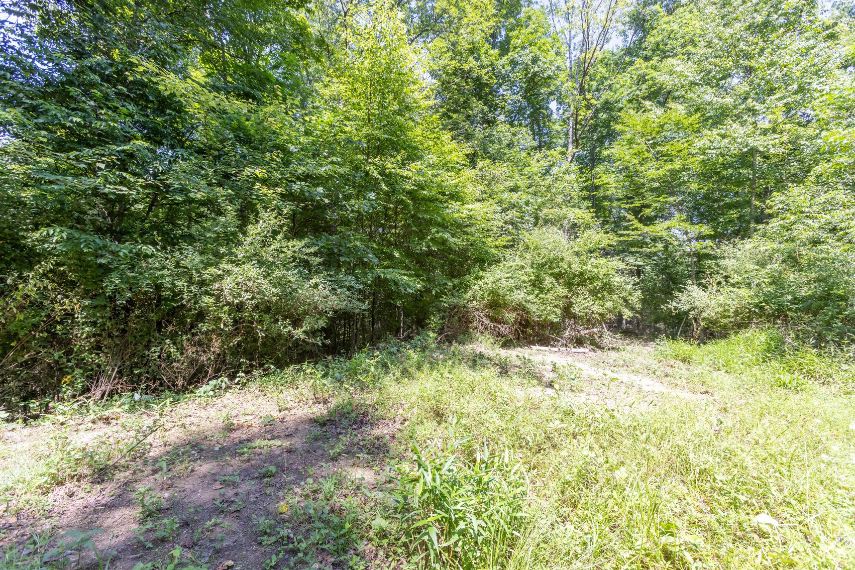 Image for SOLD $45,650 - 44 Wooded Acres in Wyoming County