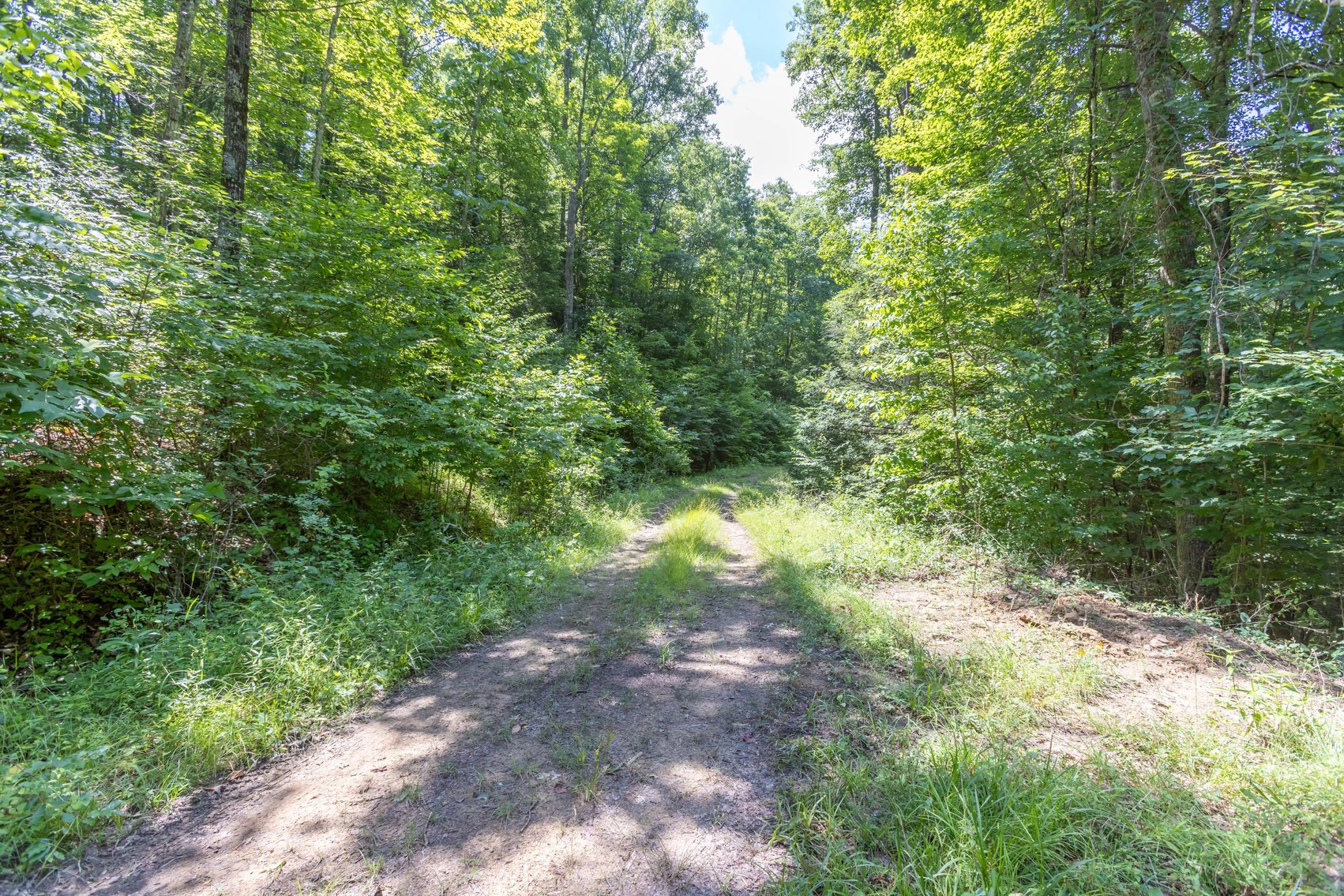 Image for SOLD $45,650 - 44 Wooded Acres in Wyoming County