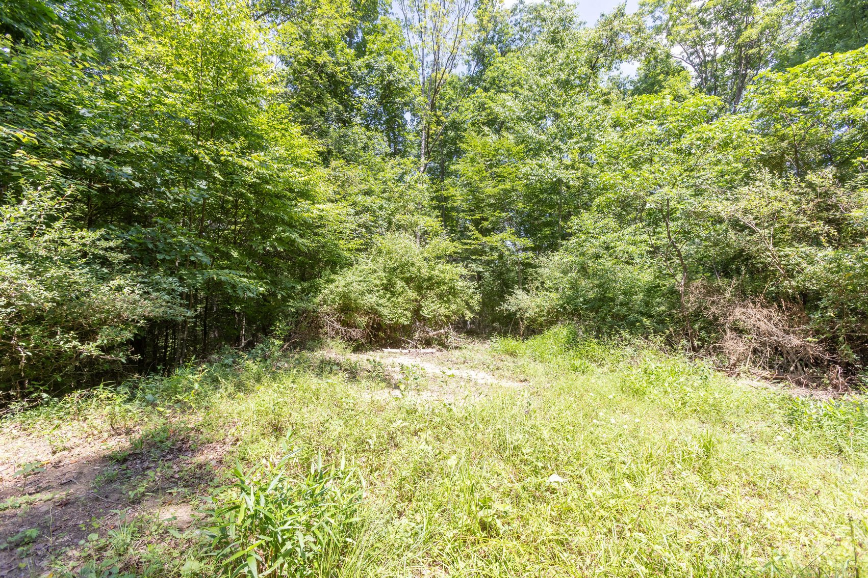 Image for SOLD $45,650 - 44 Wooded Acres in Wyoming County