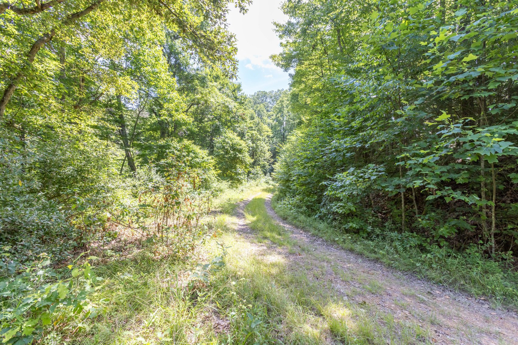 Image for SOLD $45,650 - 44 Wooded Acres in Wyoming County