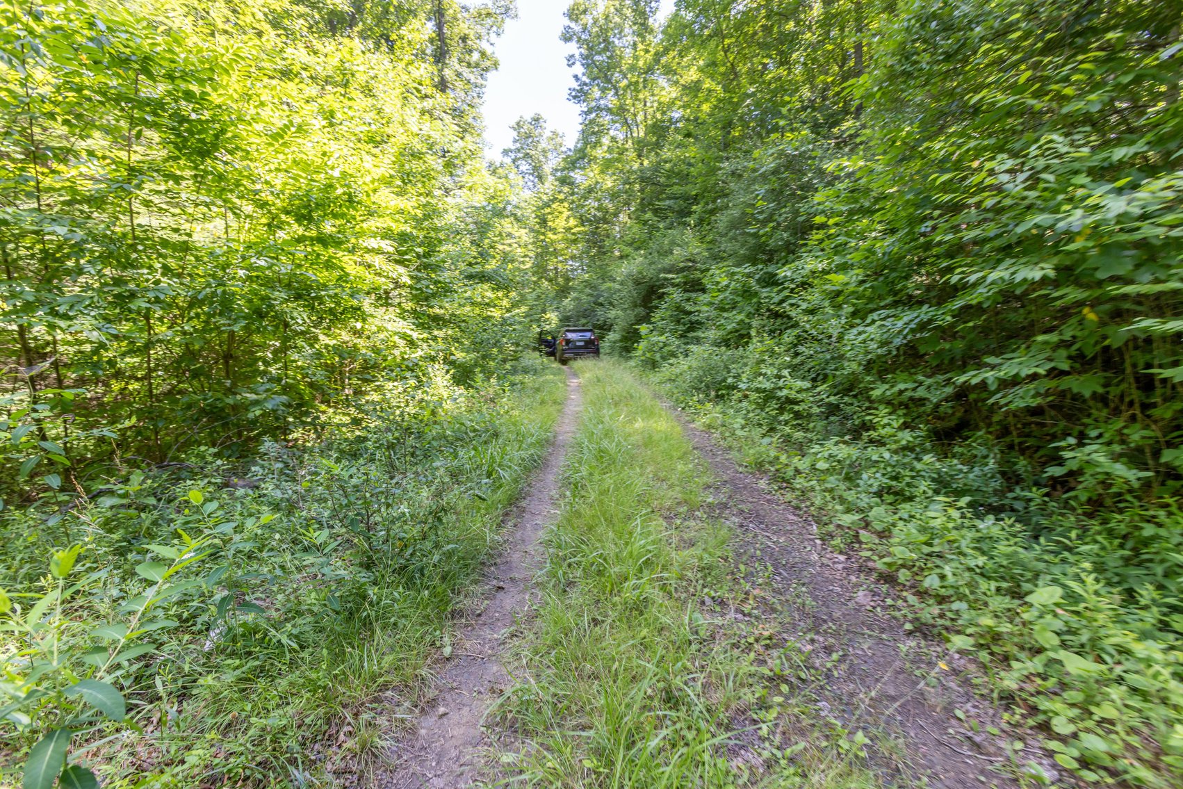 Image for SOLD $45,650 - 44 Wooded Acres in Wyoming County