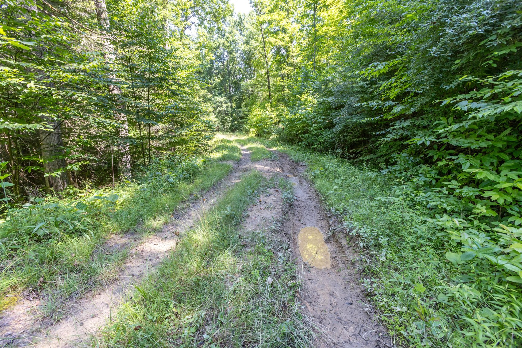 Image for SOLD $45,650 - 44 Wooded Acres in Wyoming County