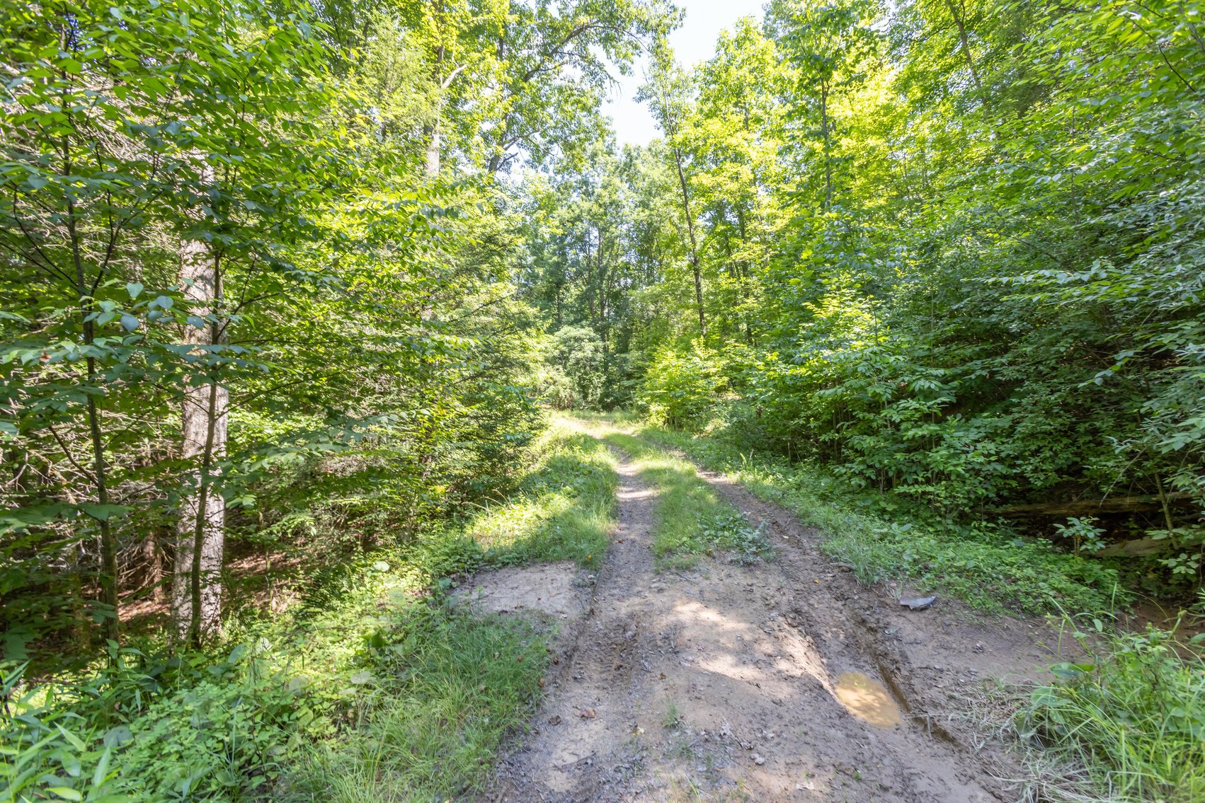 Image for SOLD $45,650 - 44 Wooded Acres in Wyoming County