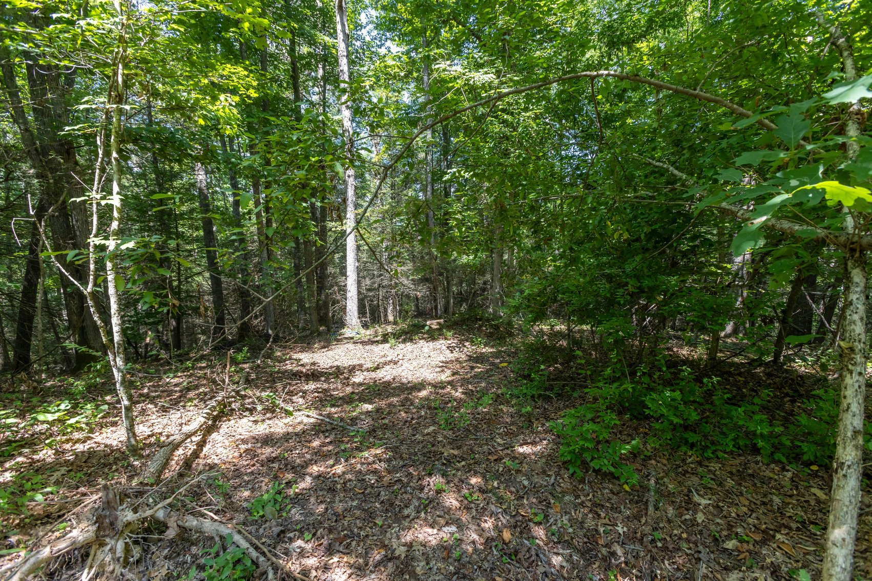 Image for SOLD $45,650 - 44 Wooded Acres in Wyoming County