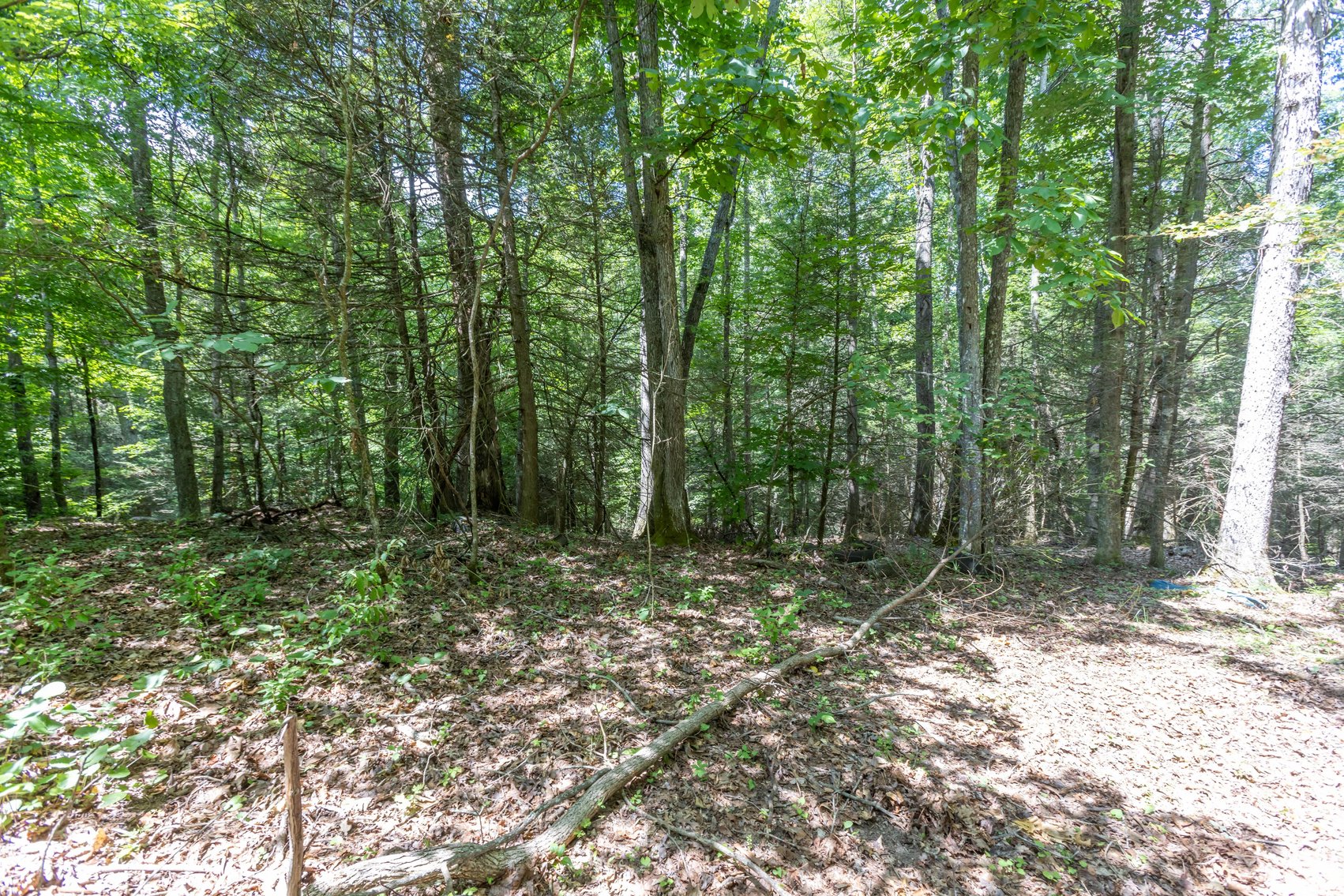 Image for SOLD $45,650 - 44 Wooded Acres in Wyoming County