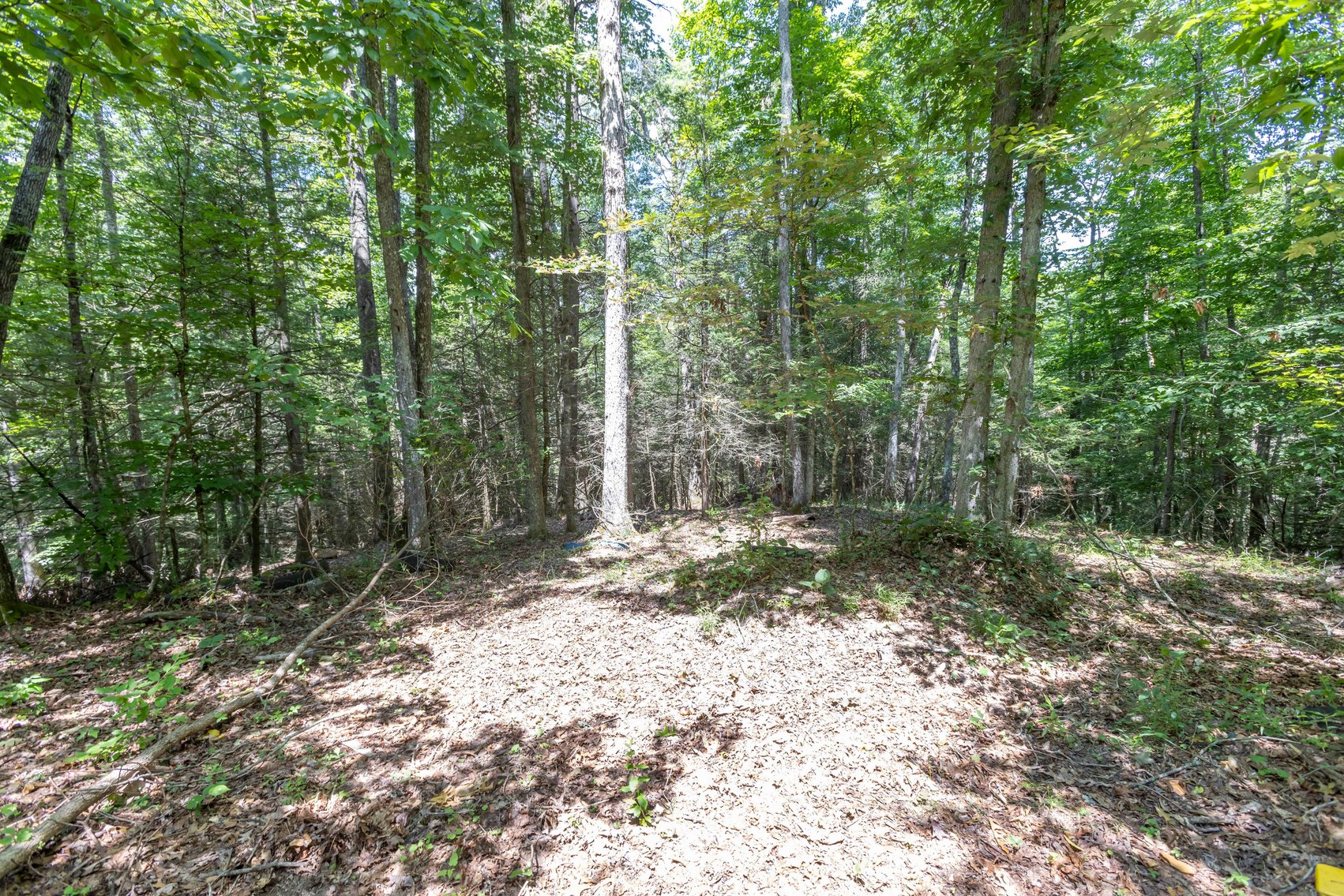 Image for SOLD $45,650 - 44 Wooded Acres in Wyoming County