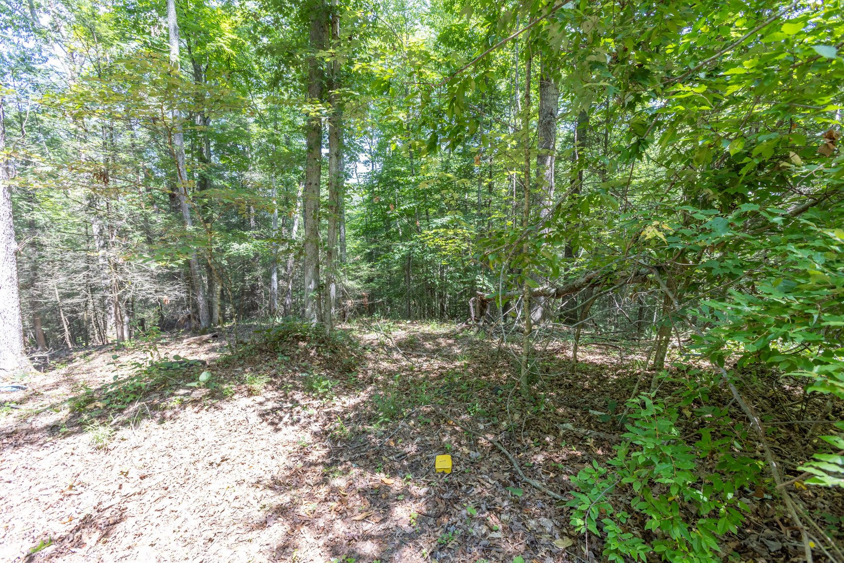 Image for SOLD $45,650 - 44 Wooded Acres in Wyoming County