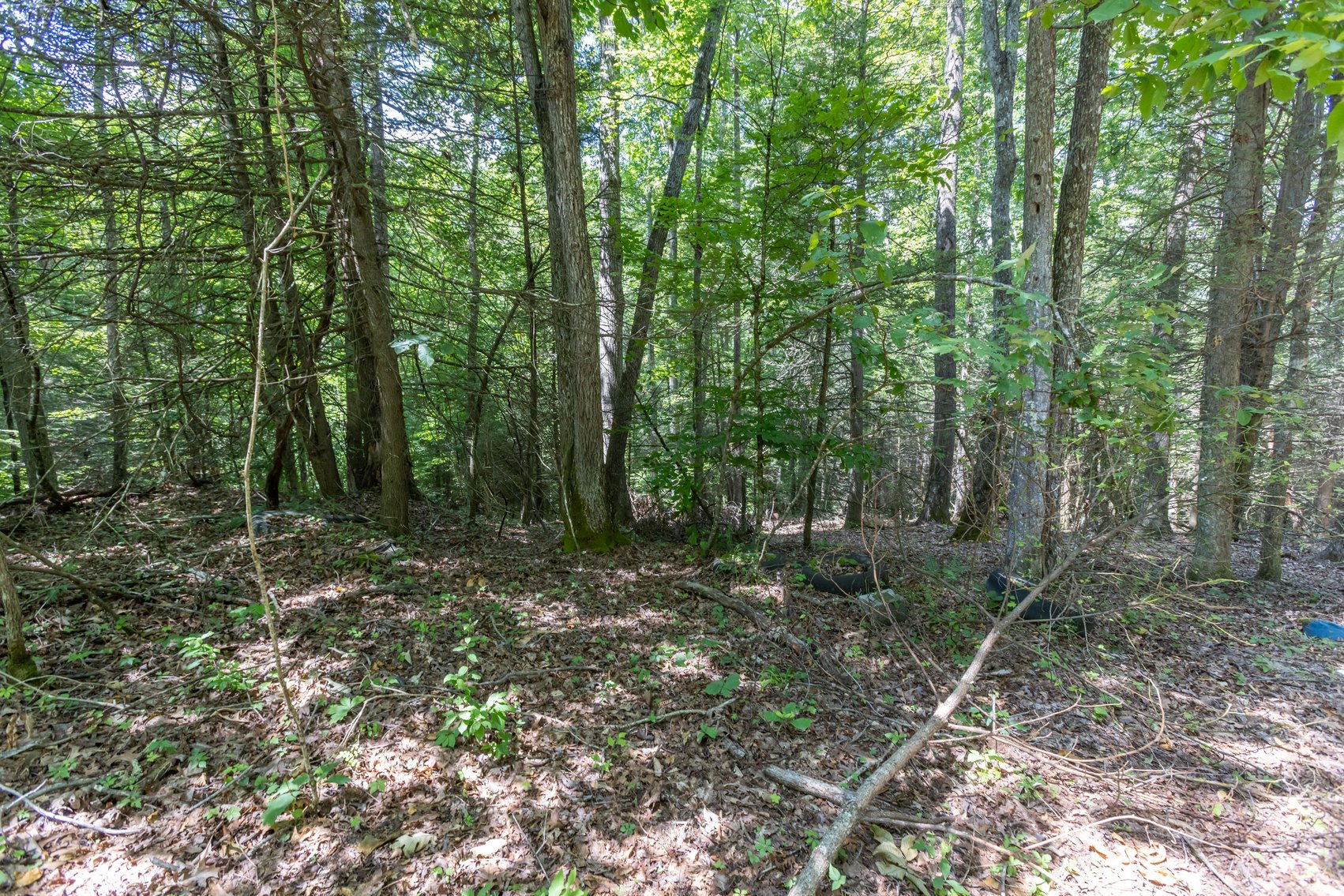 Image for SOLD $45,650 - 44 Wooded Acres in Wyoming County