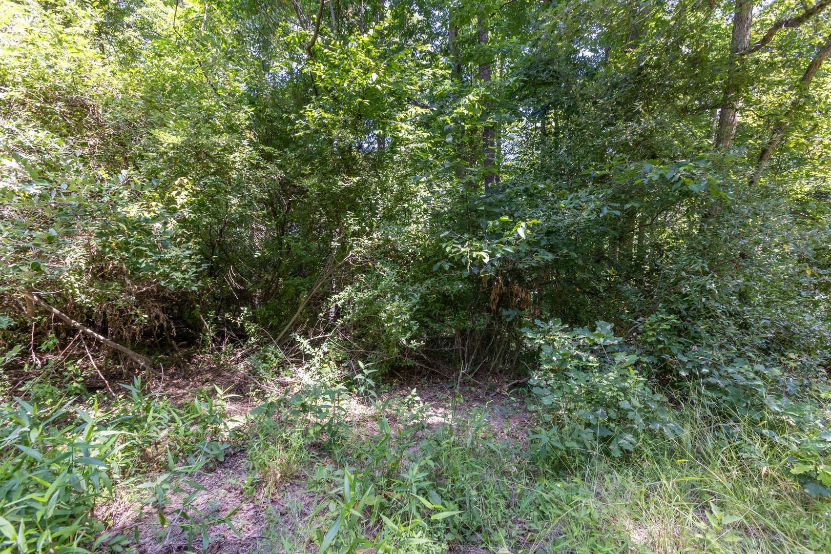 Image for SOLD $45,650 - 44 Wooded Acres in Wyoming County