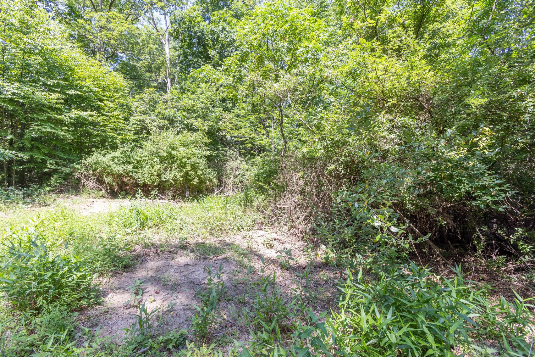 Image for SOLD $45,650 - 44 Wooded Acres in Wyoming County