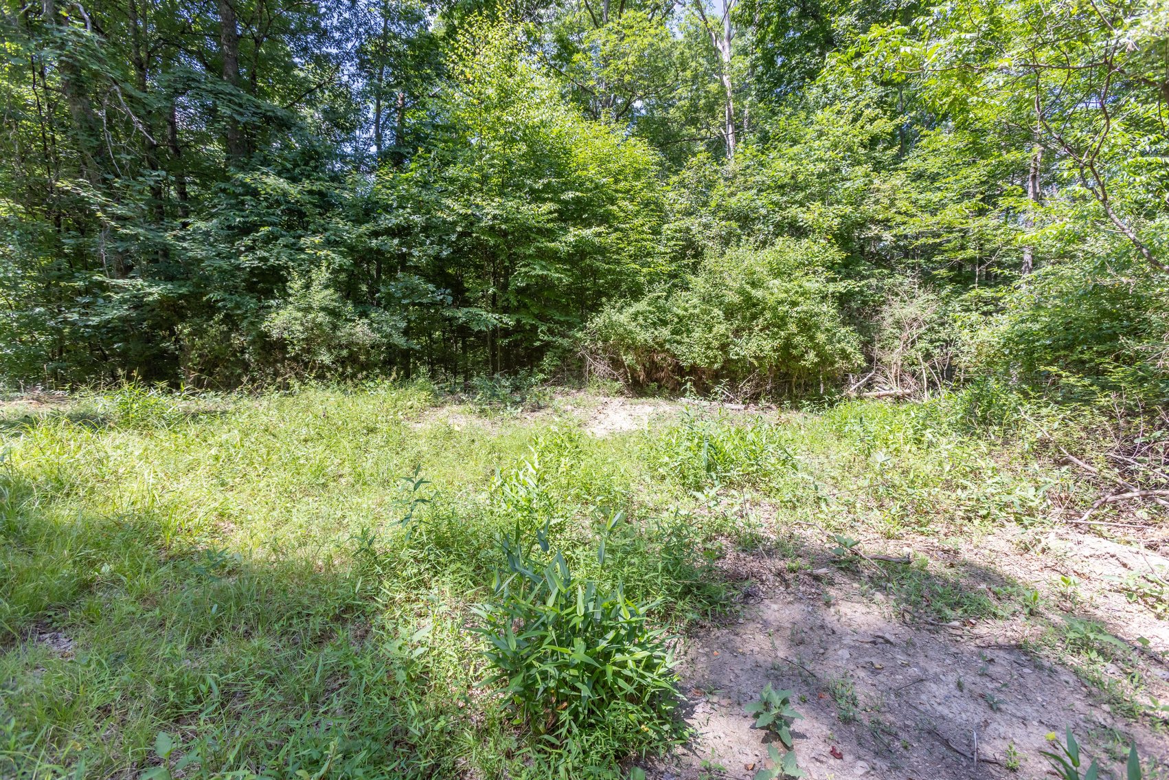 Image for SOLD $45,650 - 44 Wooded Acres in Wyoming County