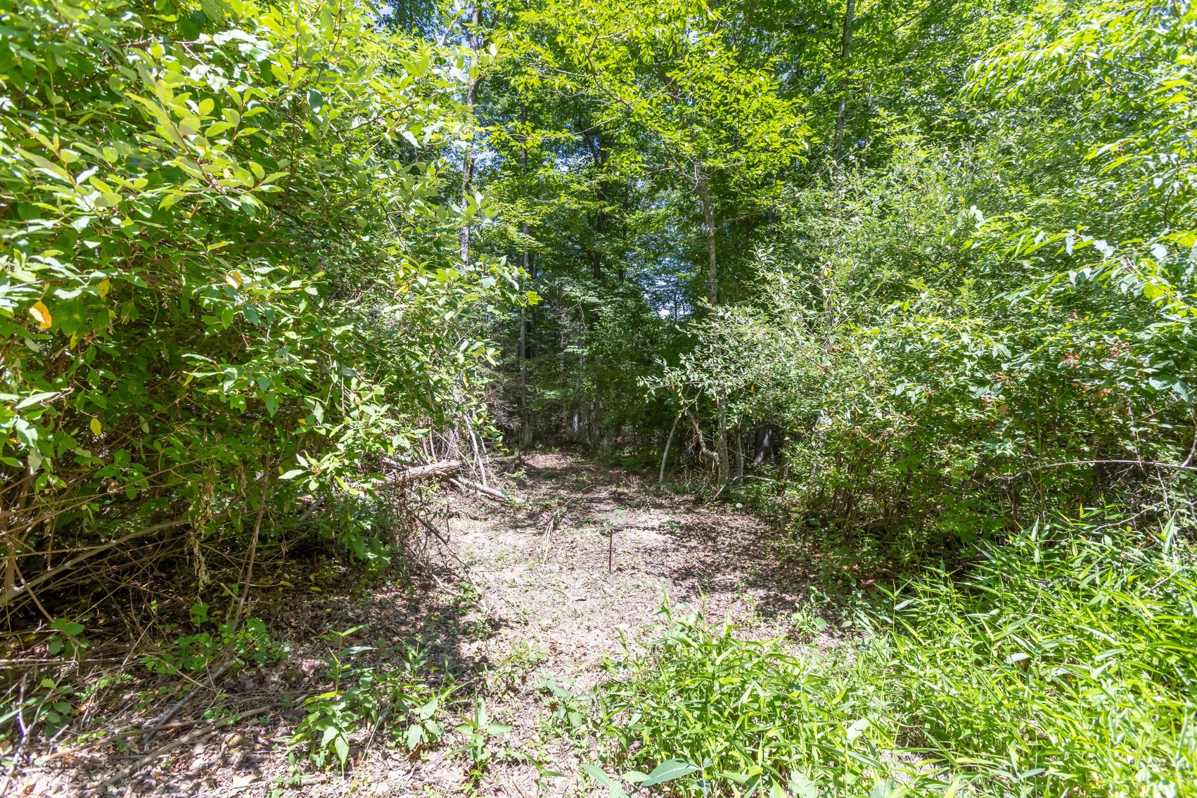 Image for SOLD $45,650 - 44 Wooded Acres in Wyoming County