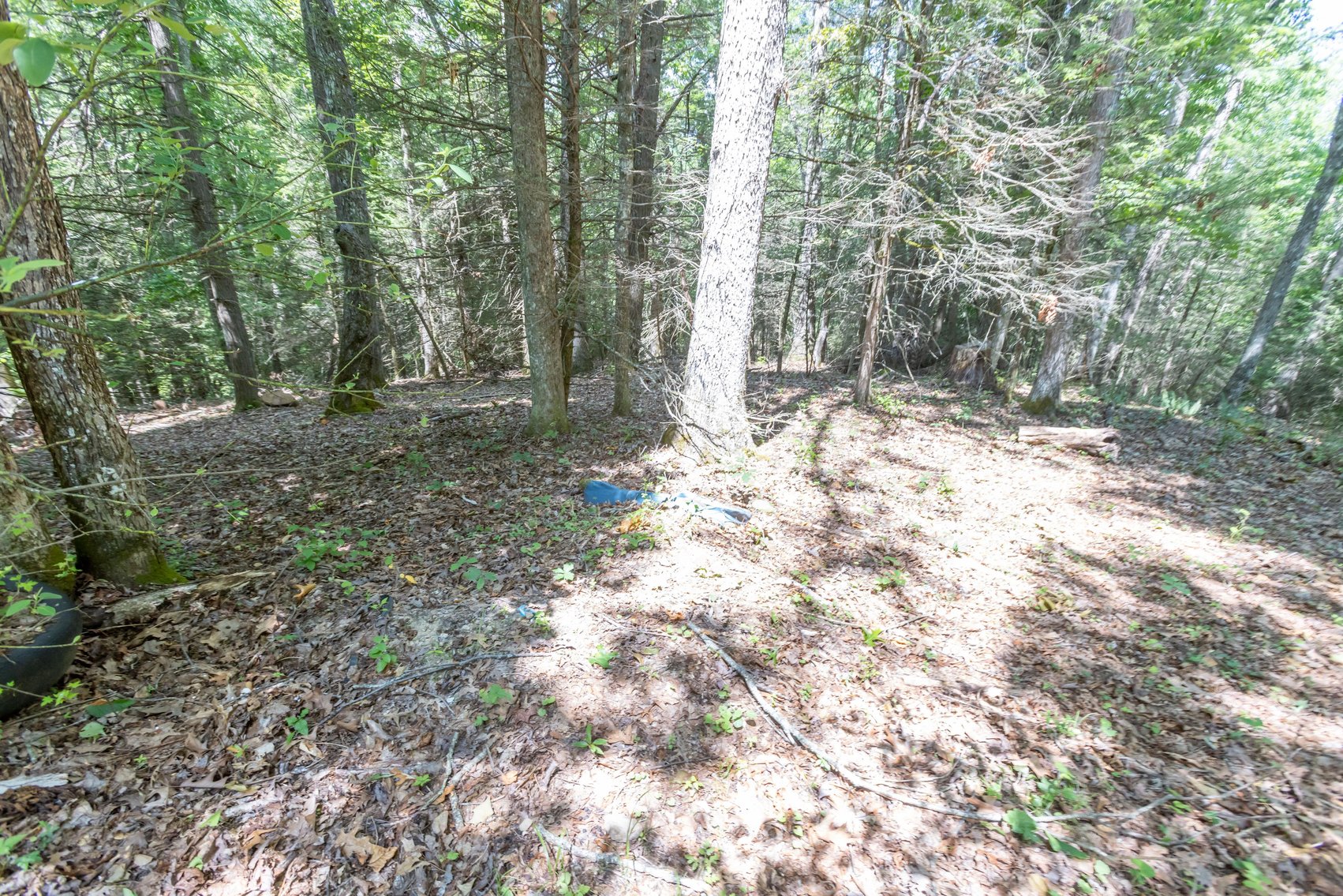 Image for SOLD $45,650 - 44 Wooded Acres in Wyoming County