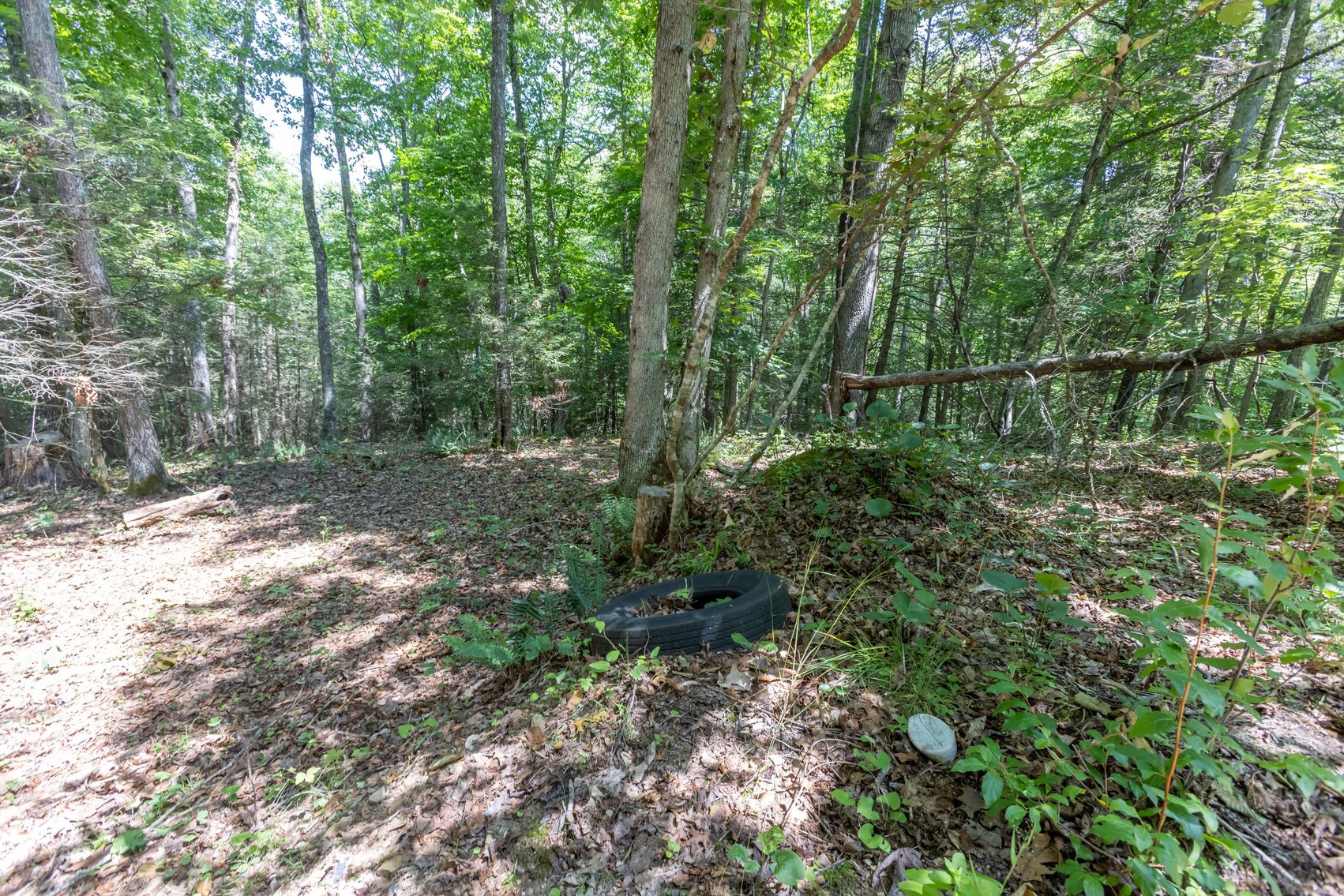 Image for SOLD $45,650 - 44 Wooded Acres in Wyoming County