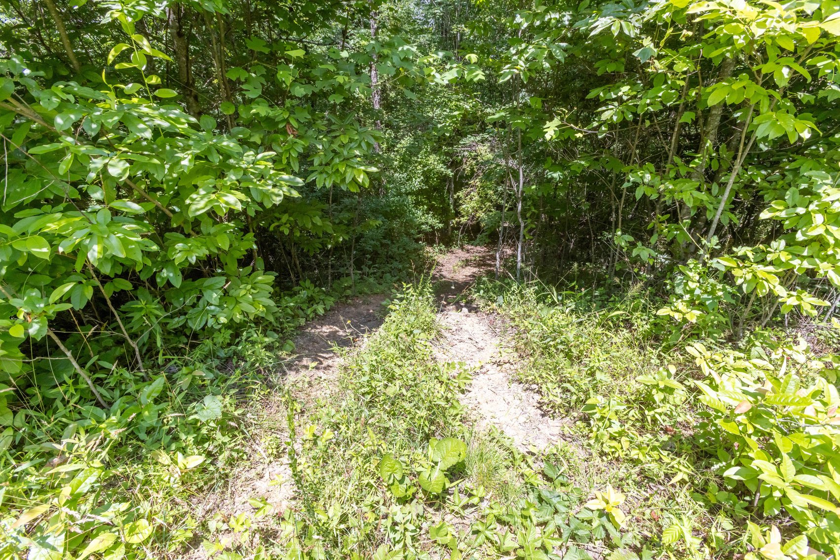 Image for SOLD $45,650 - 44 Wooded Acres in Wyoming County