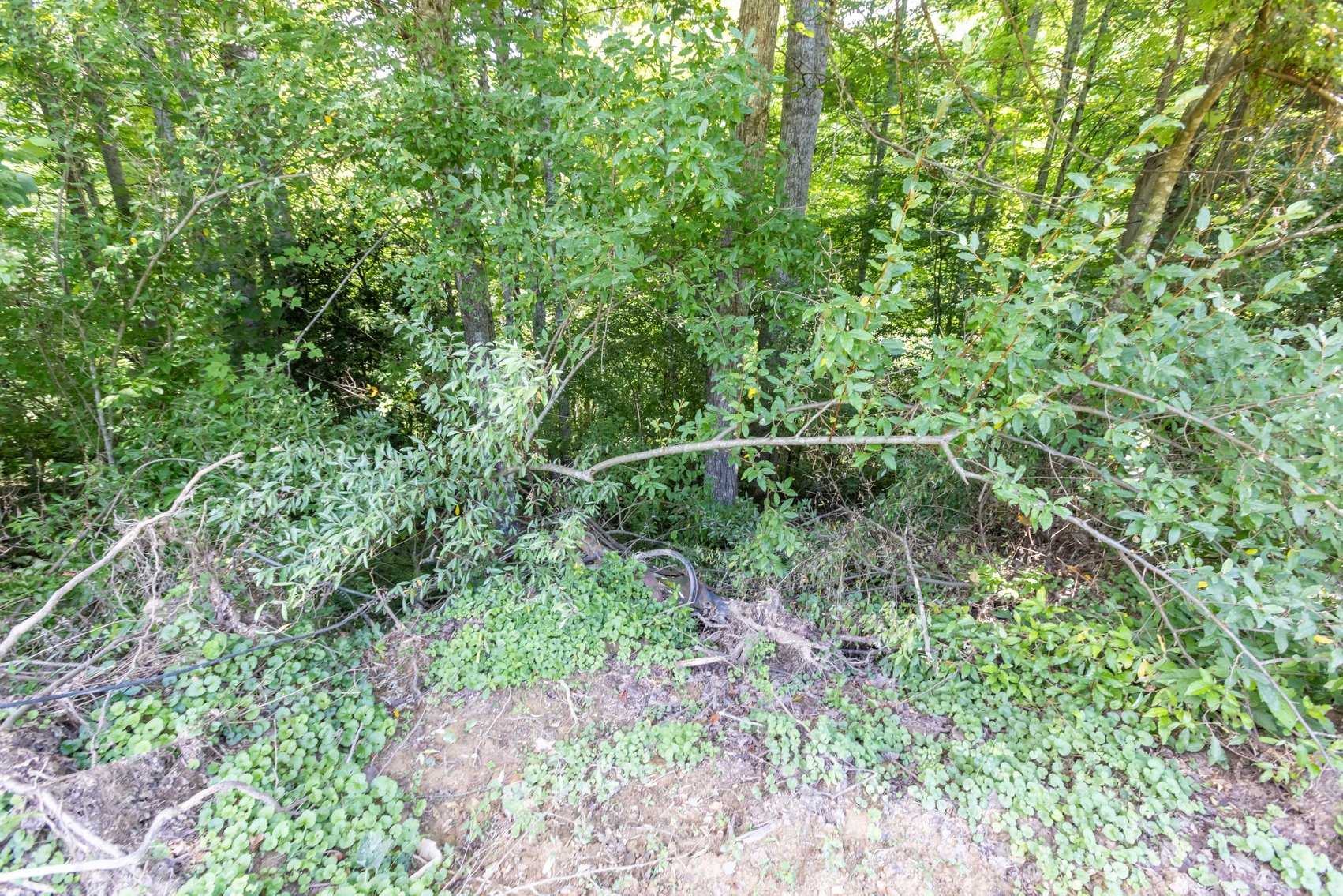 Image for SOLD $45,650 - 44 Wooded Acres in Wyoming County